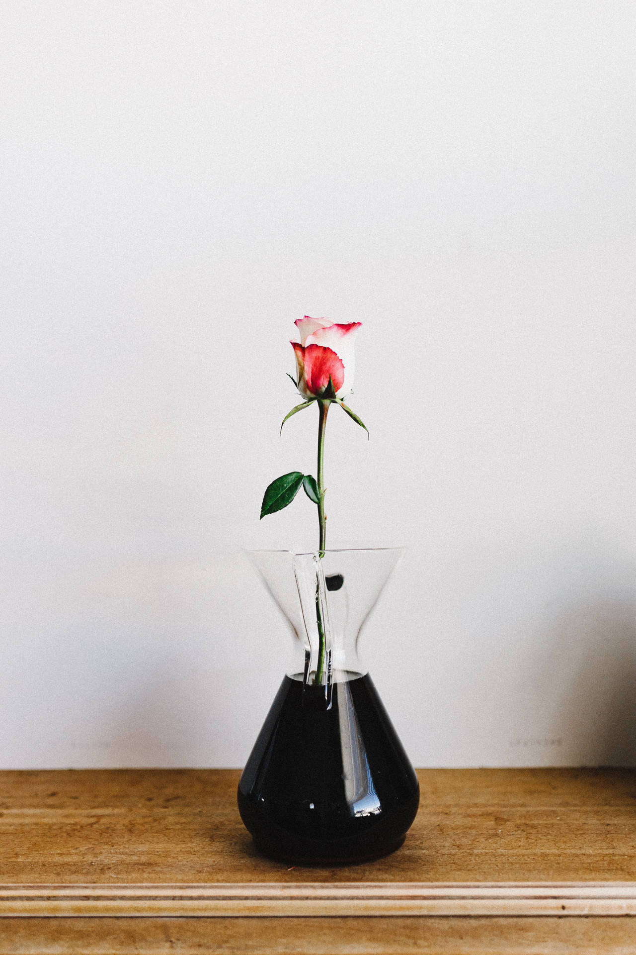 預覽桌布 玫瑰, 花朵, 花瓶 — 玫瑰 壁紙