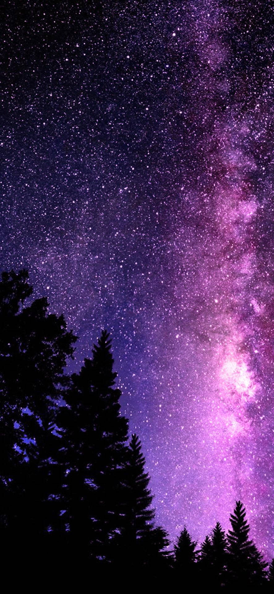 美丽星系树梢 壁紙