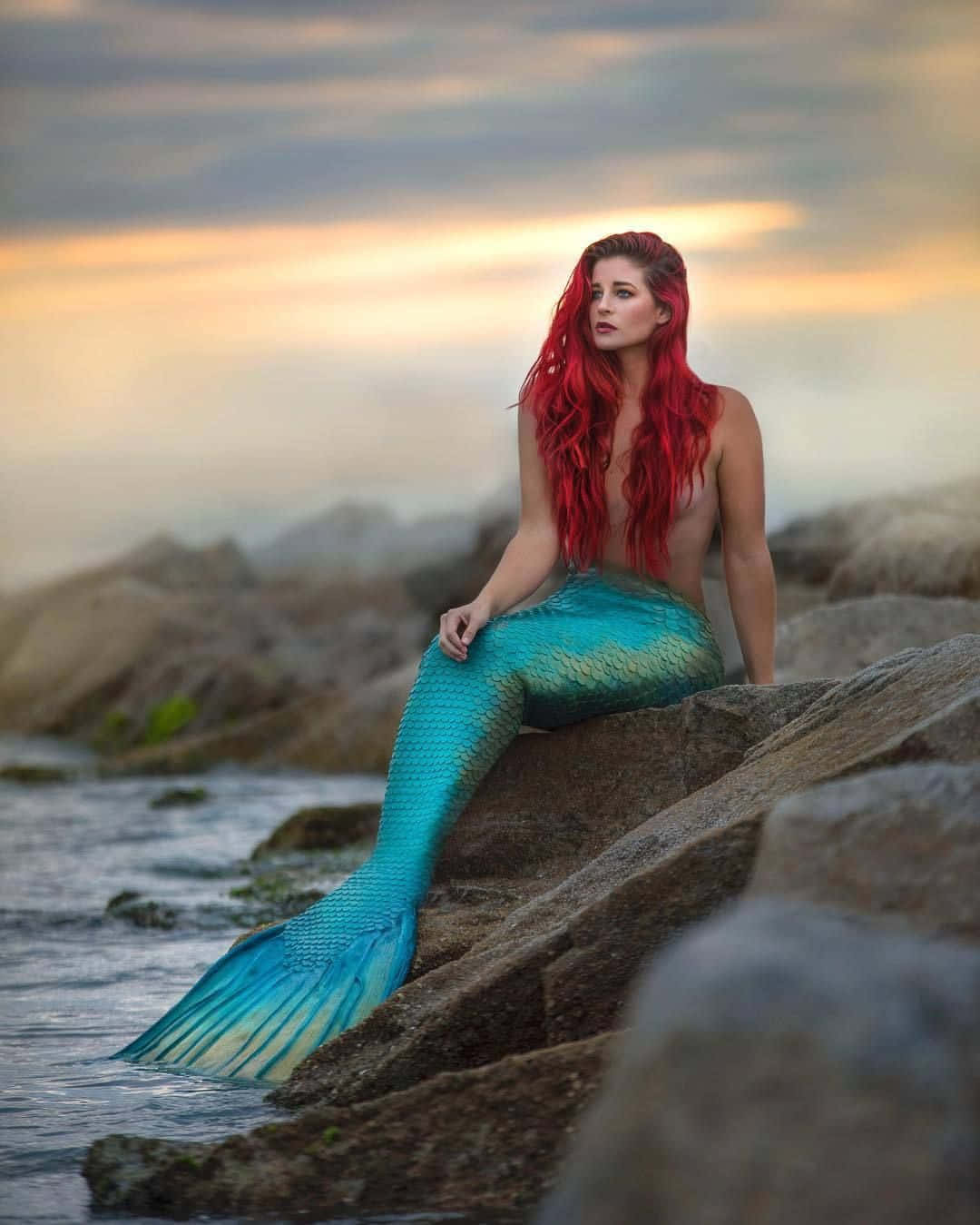 美人魚坐在岩石上的真實照片 壁紙