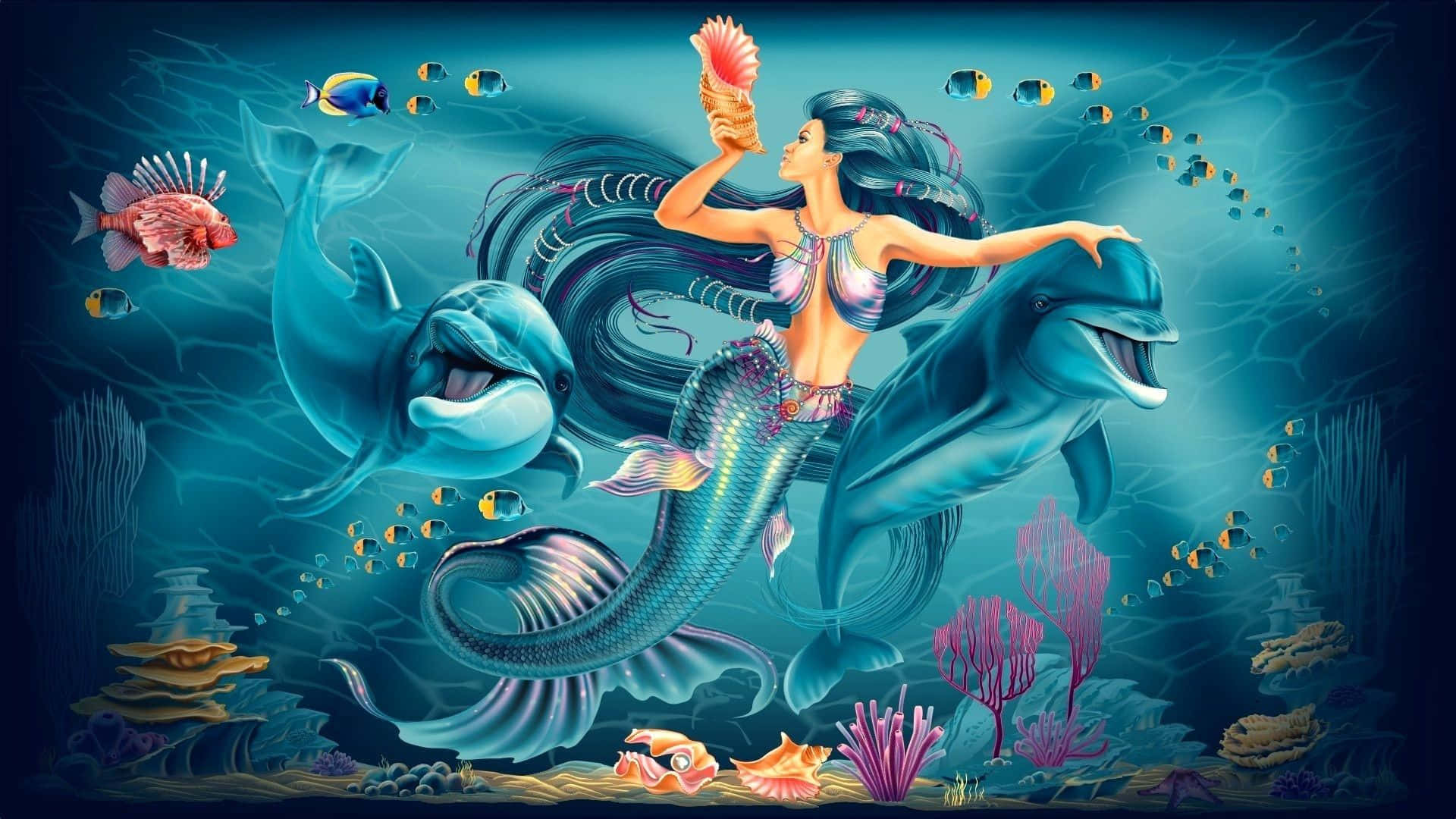 美人魚與藍海豚圖片 壁紙