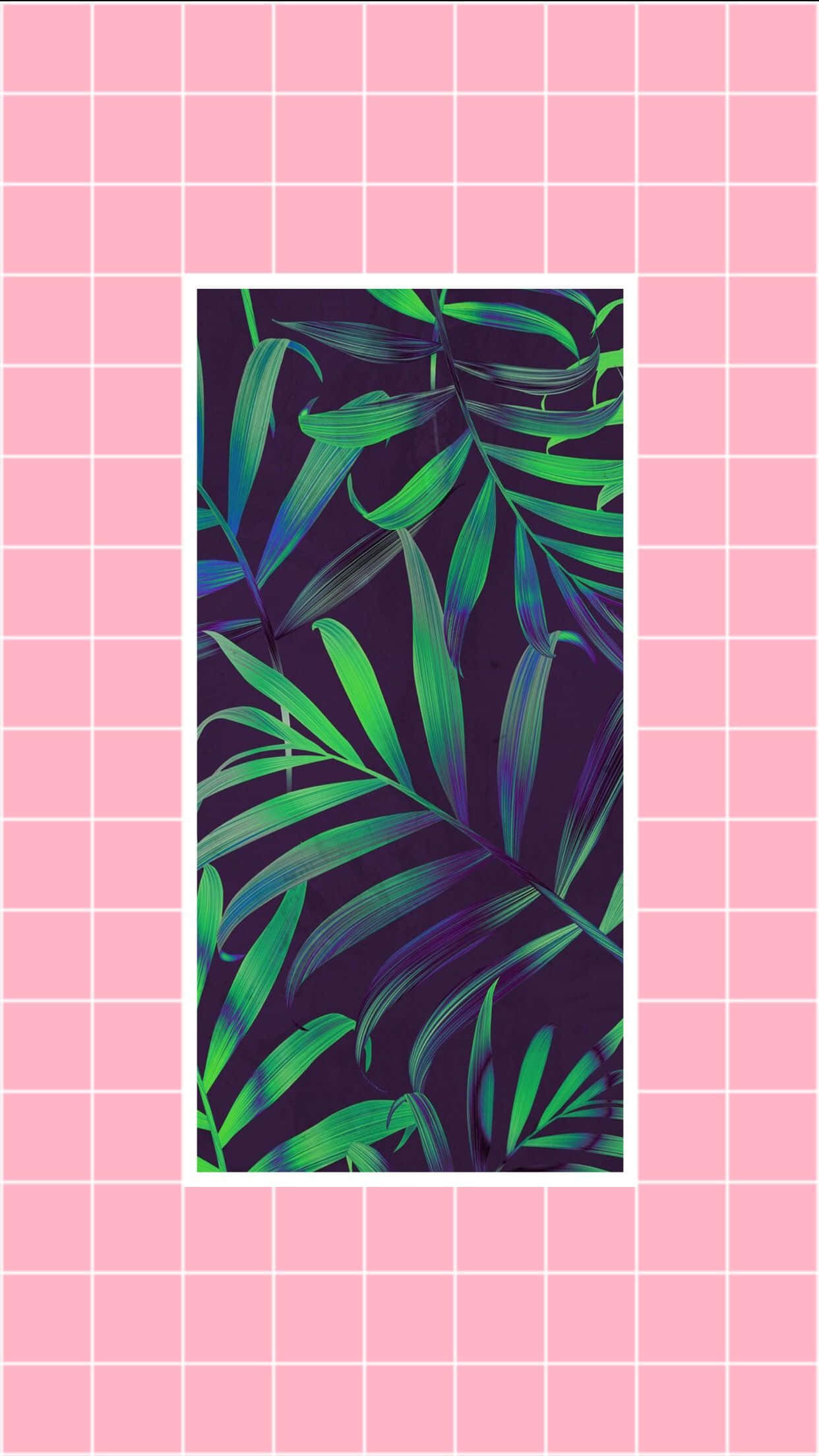 美學春季自然手機背景 壁紙
