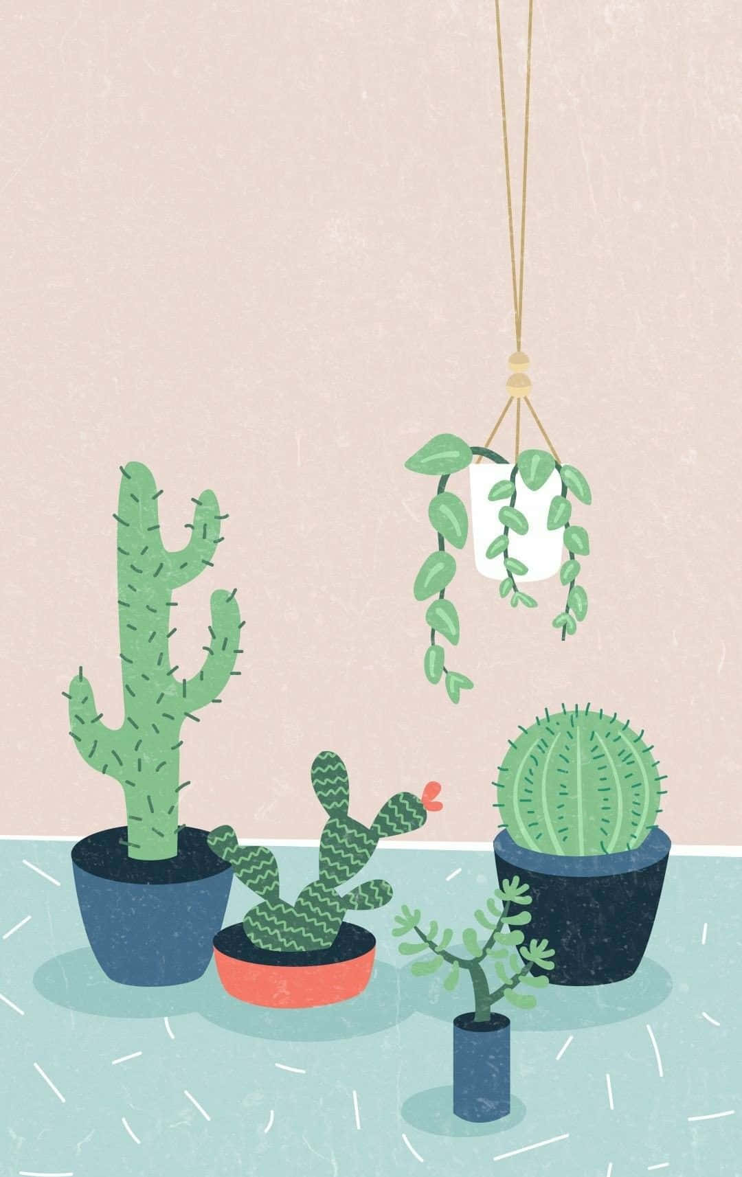 美學綠色仙人掌 壁紙