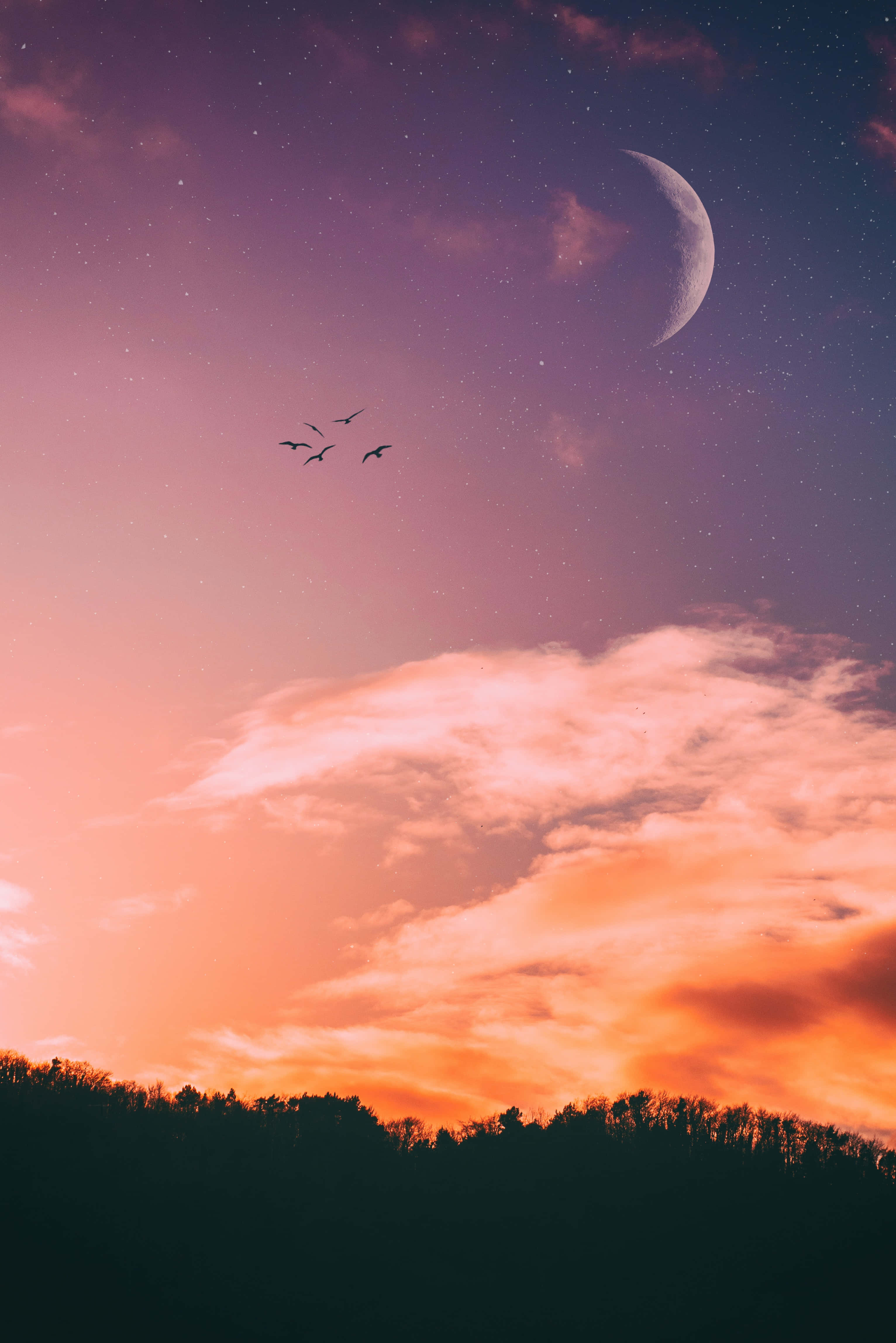 美麗夕陽天空圖片 壁紙