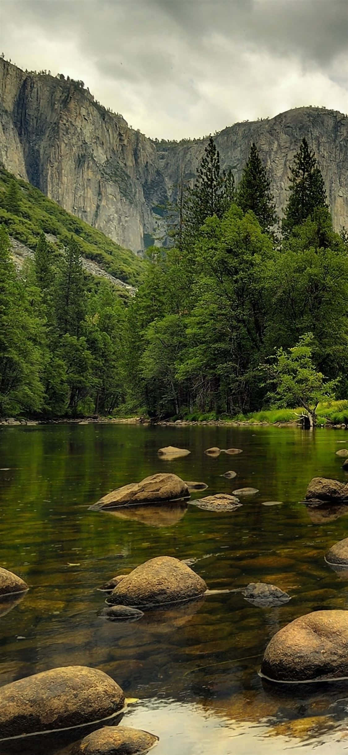 美麗大自然圖片 壁紙