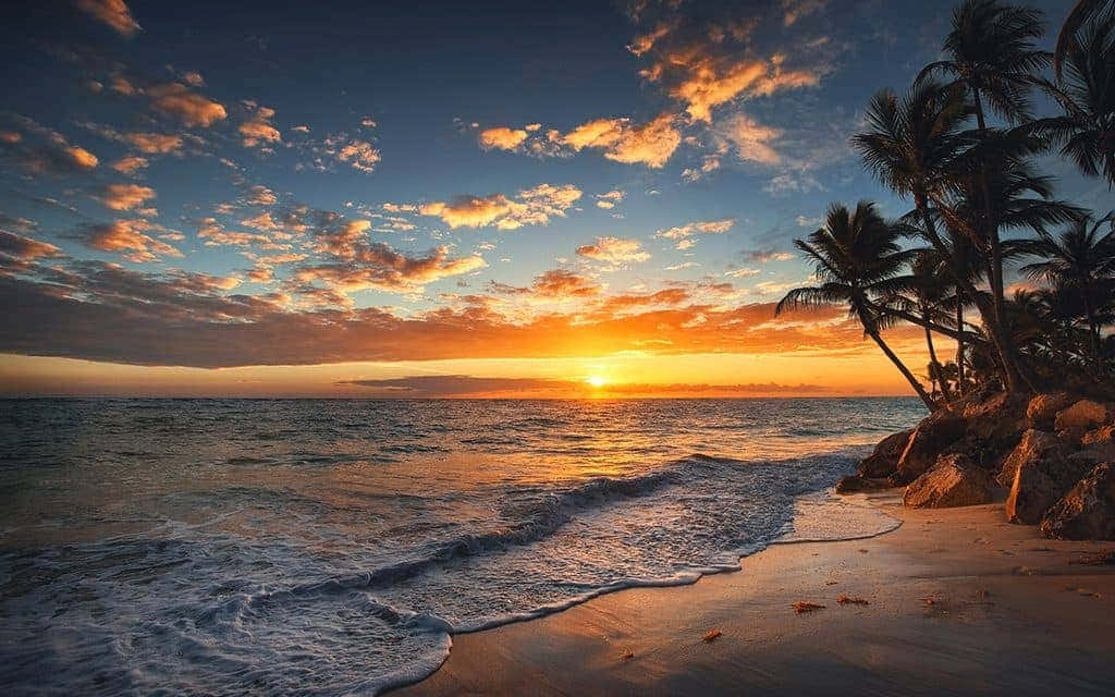 美麗海灘日落與散落雲朵圖片 壁紙