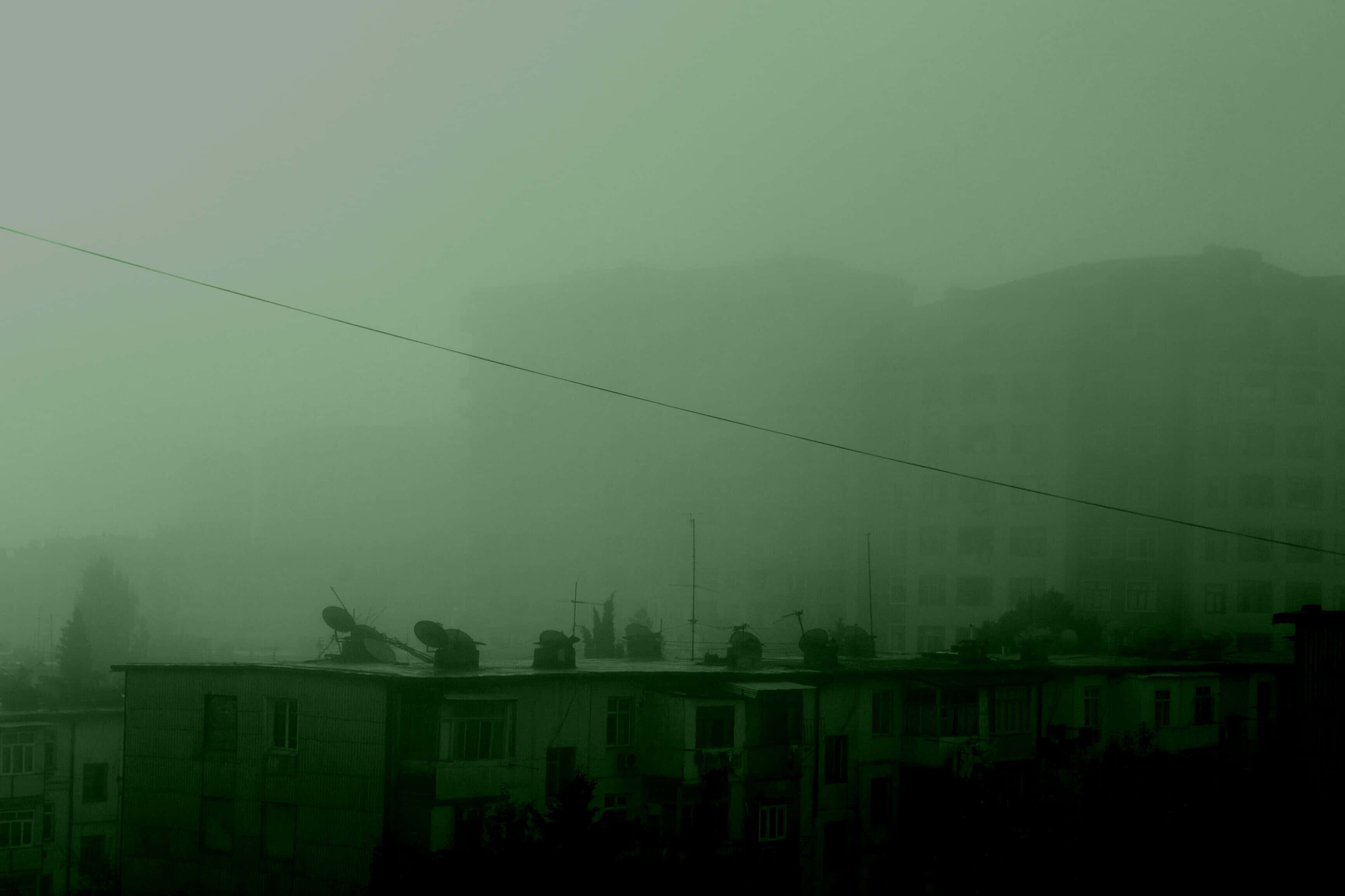 美麗的深綠色美學 壁紙
