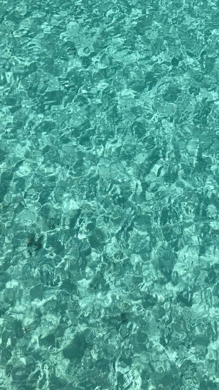 翠綠泳池水波 壁紙