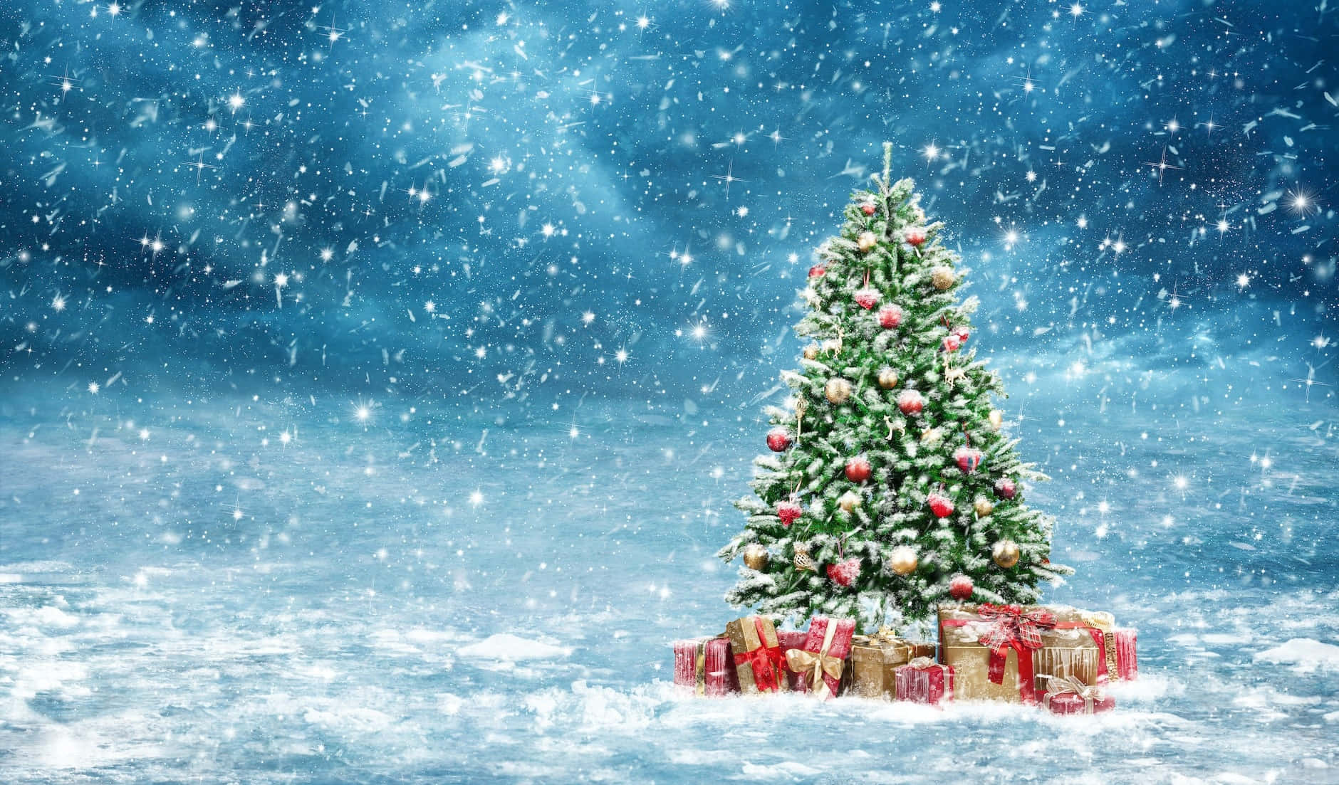 聖誕樹與雪景圖片 壁紙