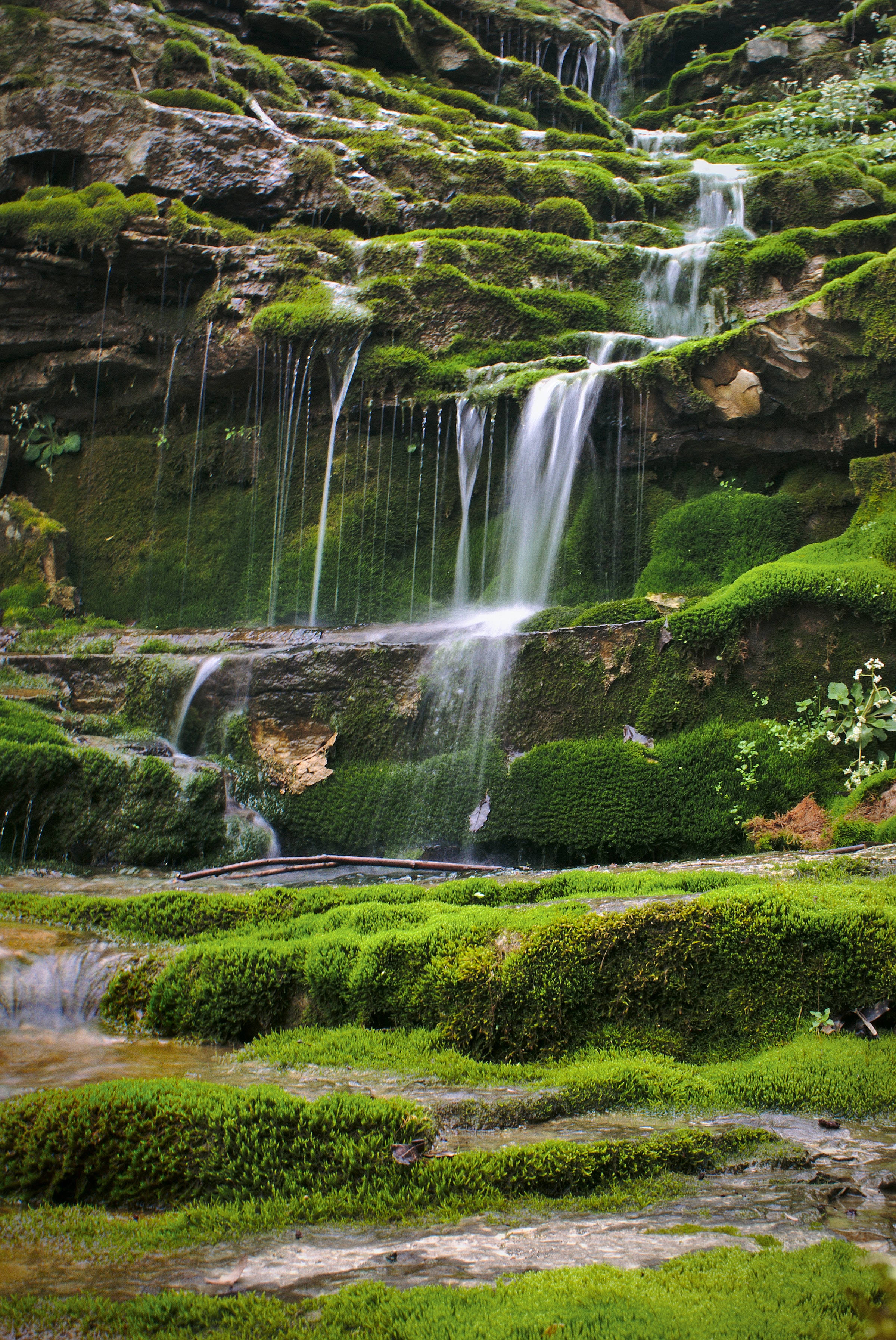 肯塔基自然風景 壁紙