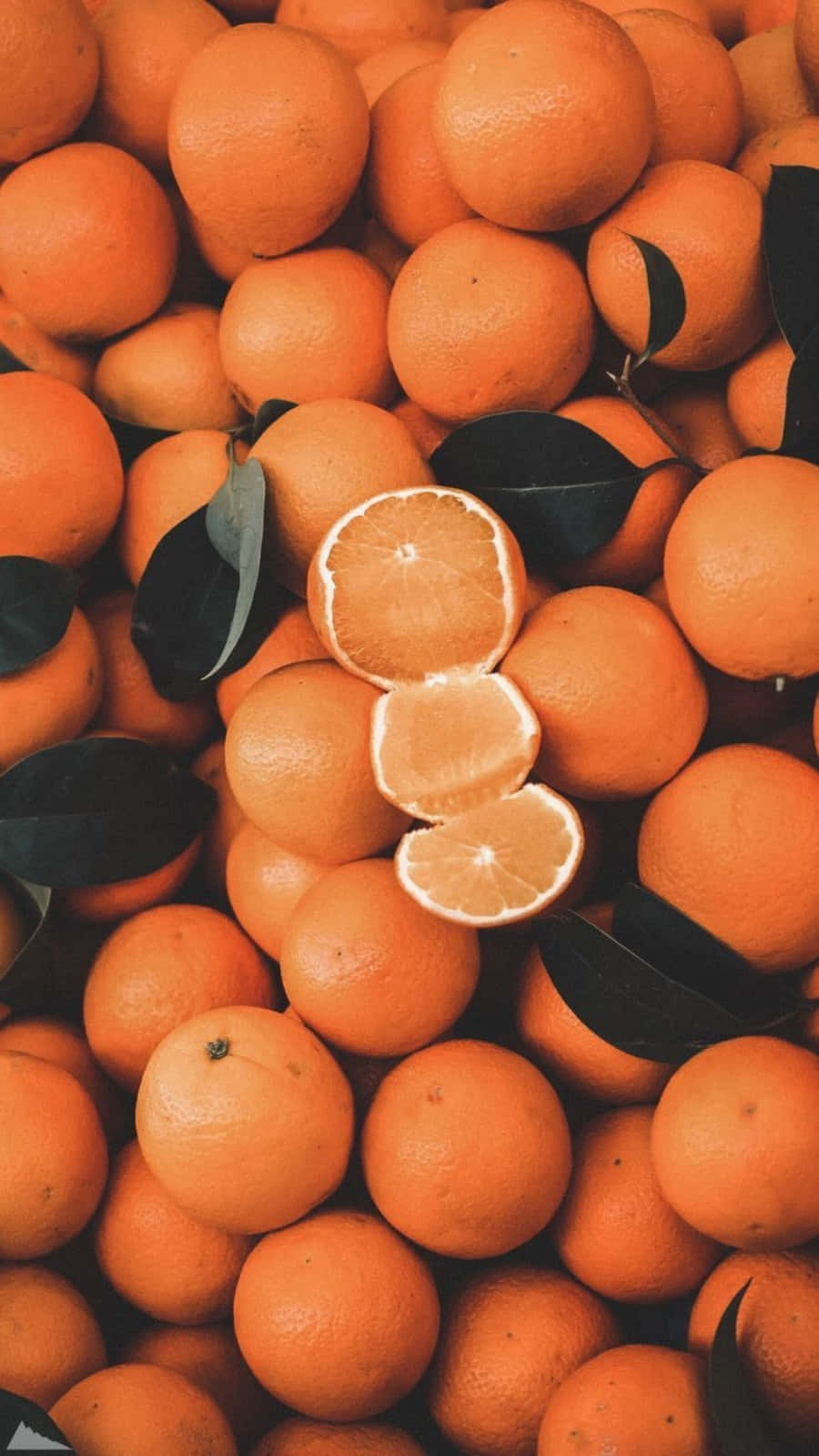 自然之美多彩繽紛，橙色亦在其中 🍊 壁紙