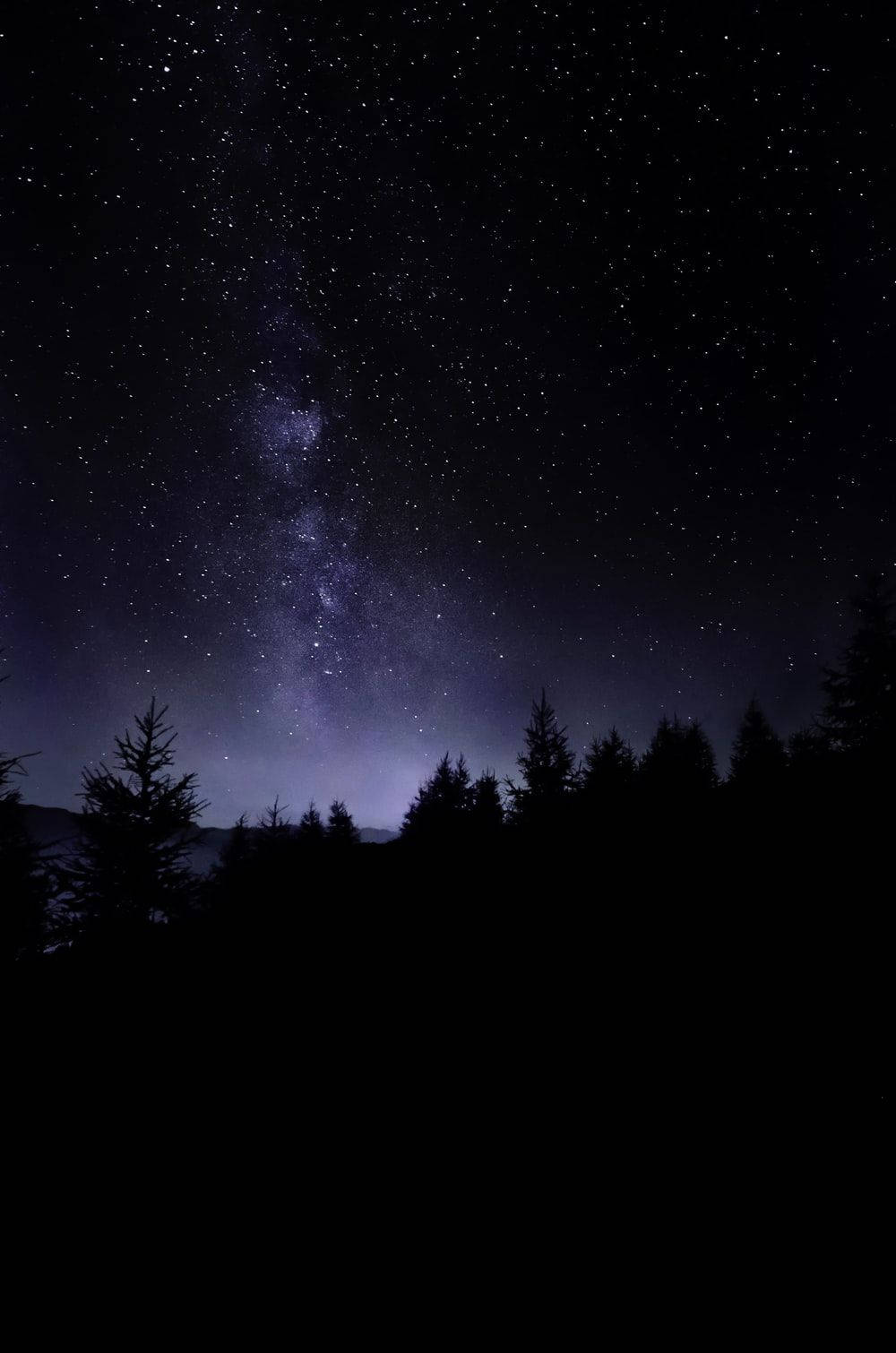 自然暗夜森林與星空 壁紙