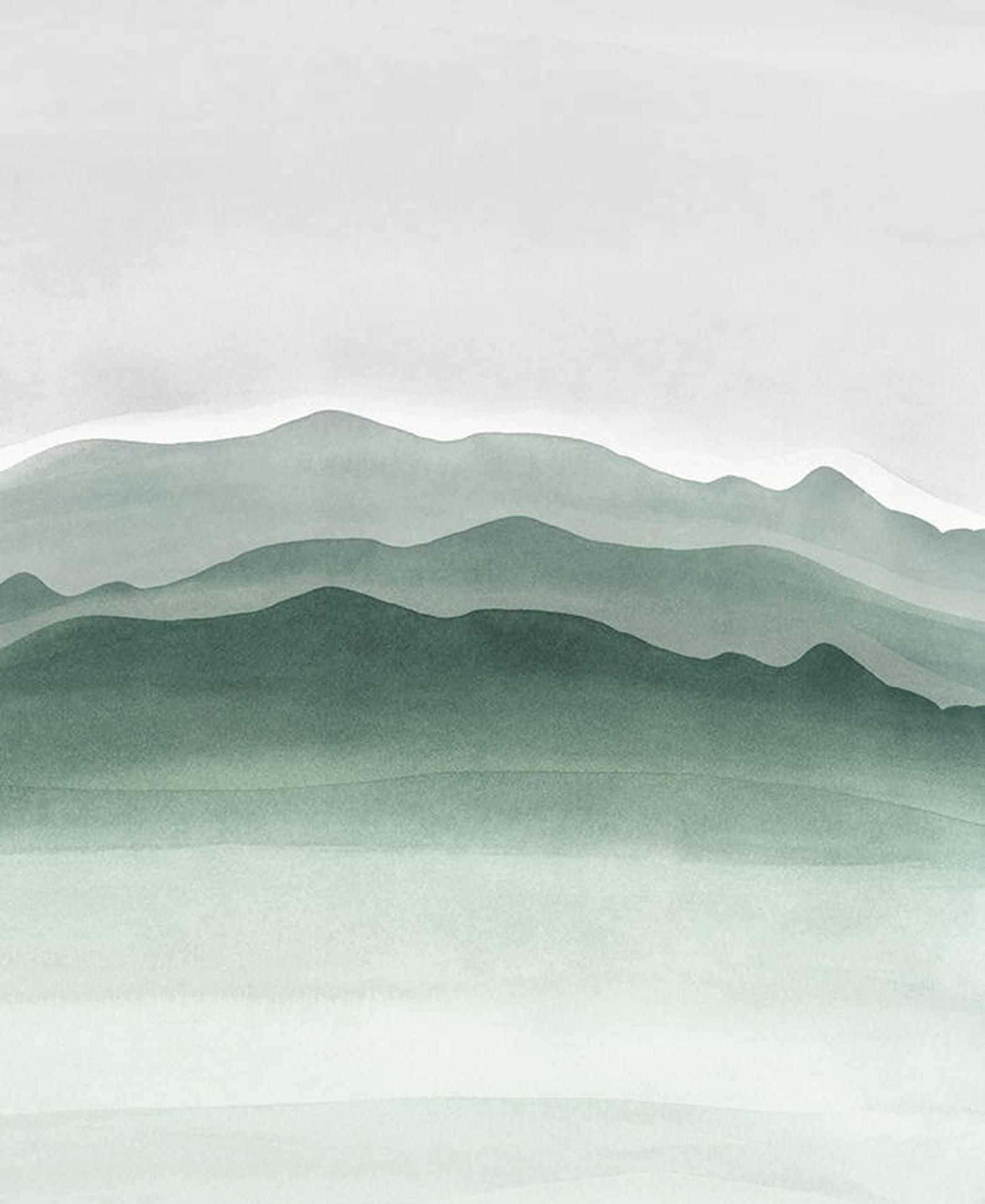 舒心鼠尾草绿美学背景 壁紙