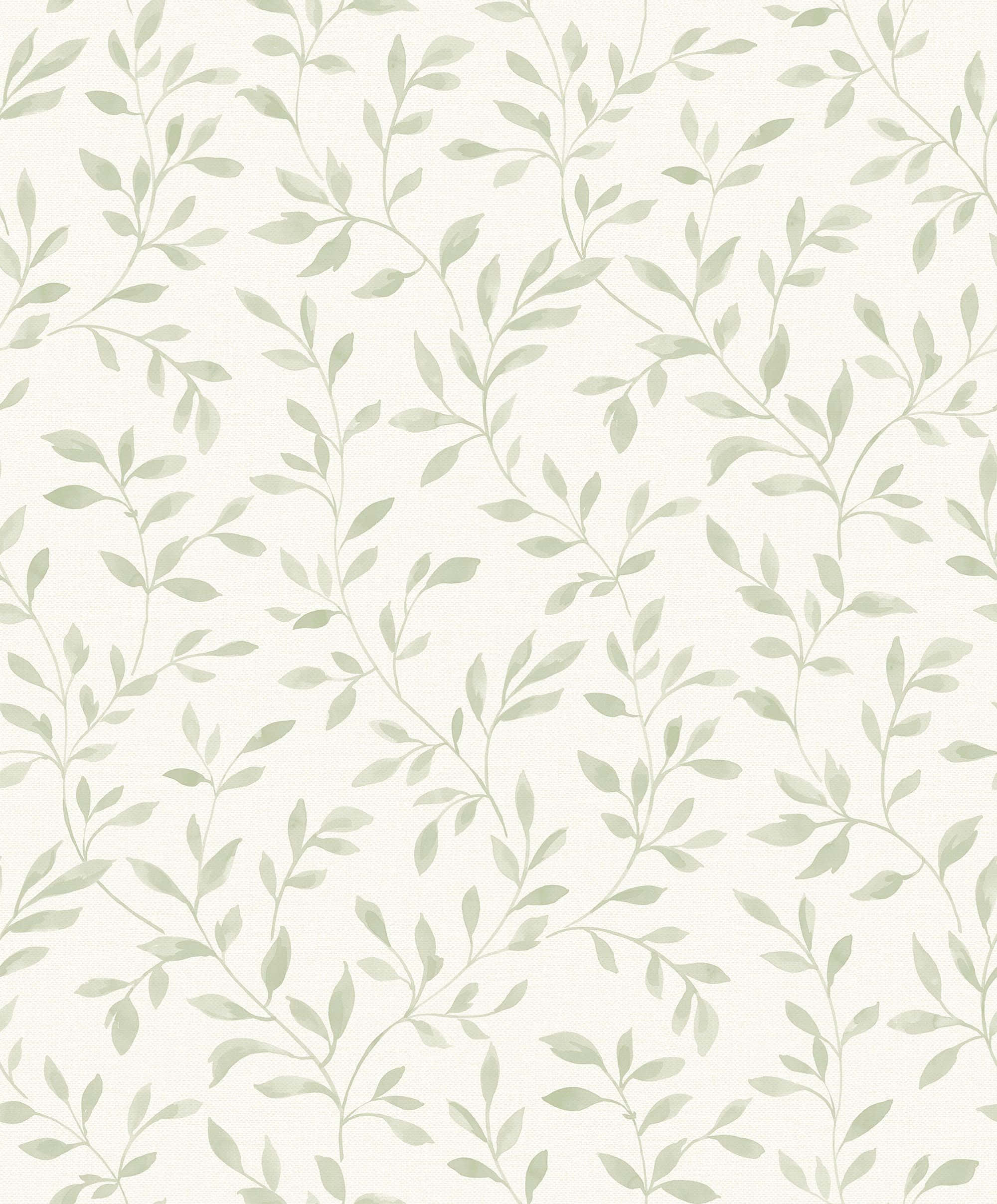 舒緩鼠尾草綠美學背景 壁紙