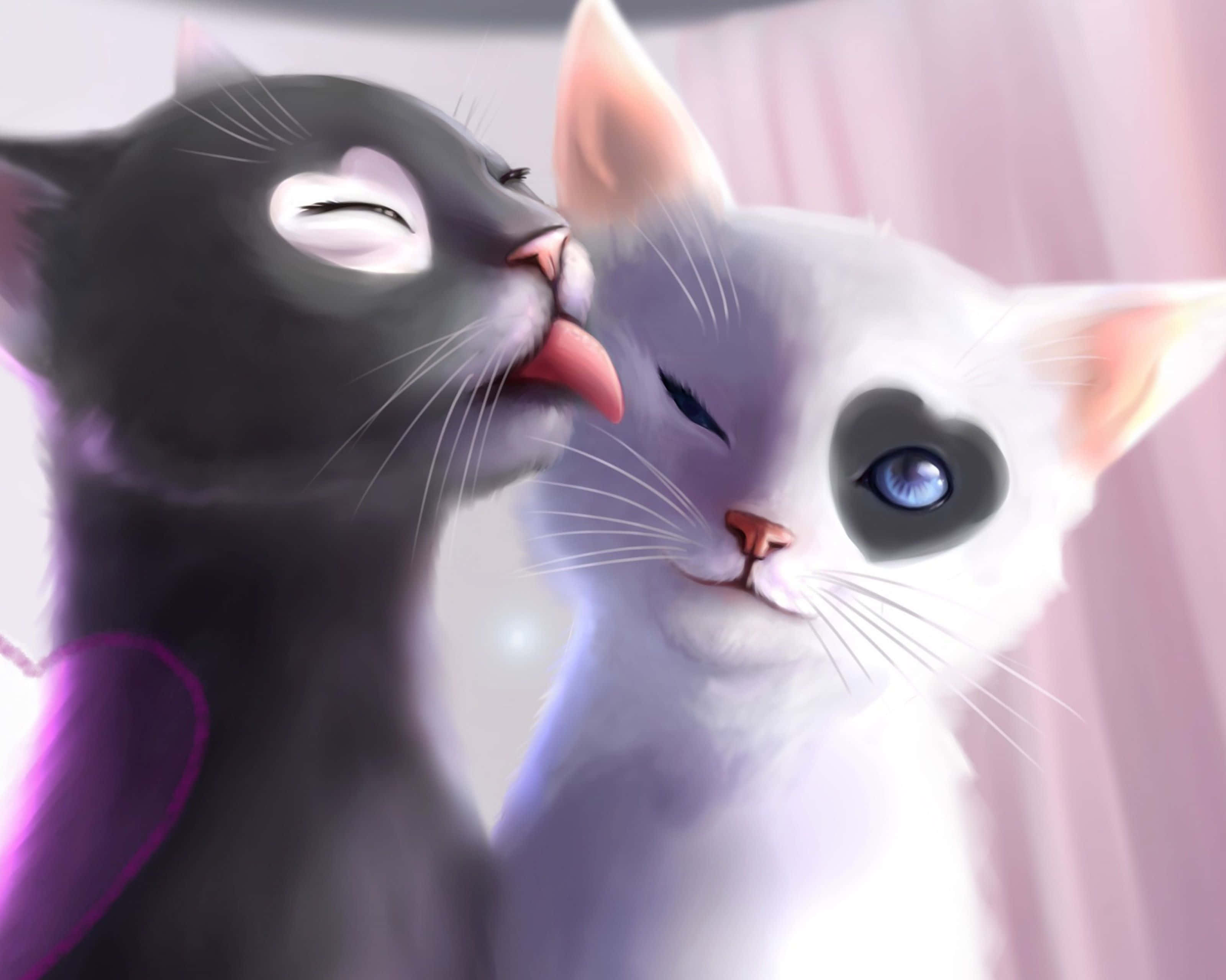 舔舔贴贴猫咪头像 壁紙