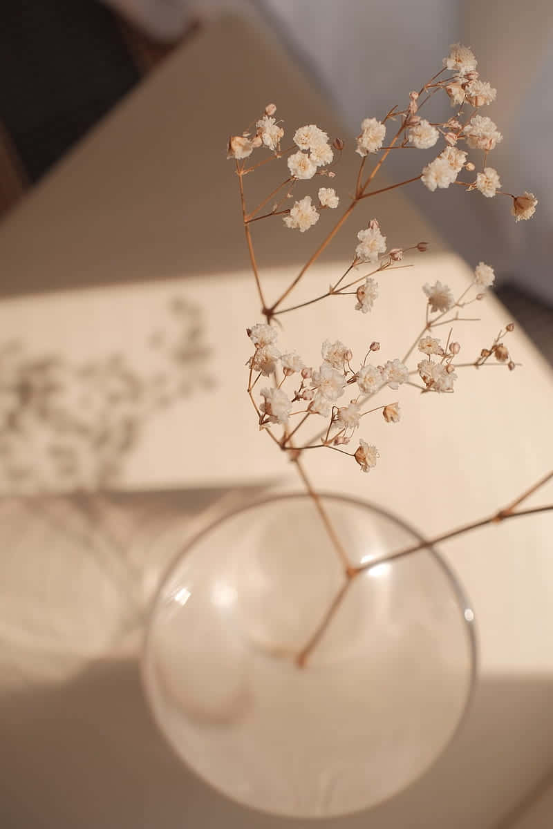 花瓶裡插著一些花朵 壁紙