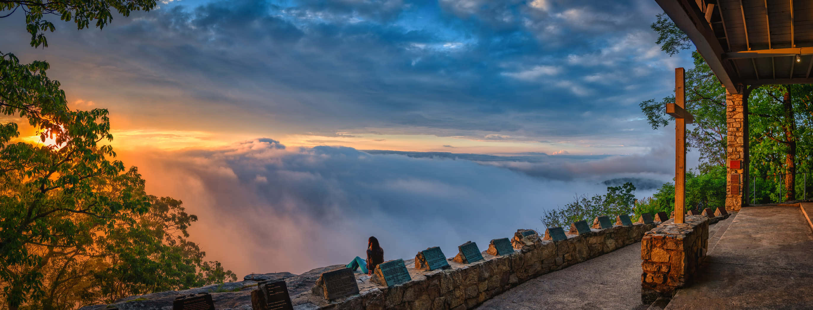 蓝天与森林美景 壁紙