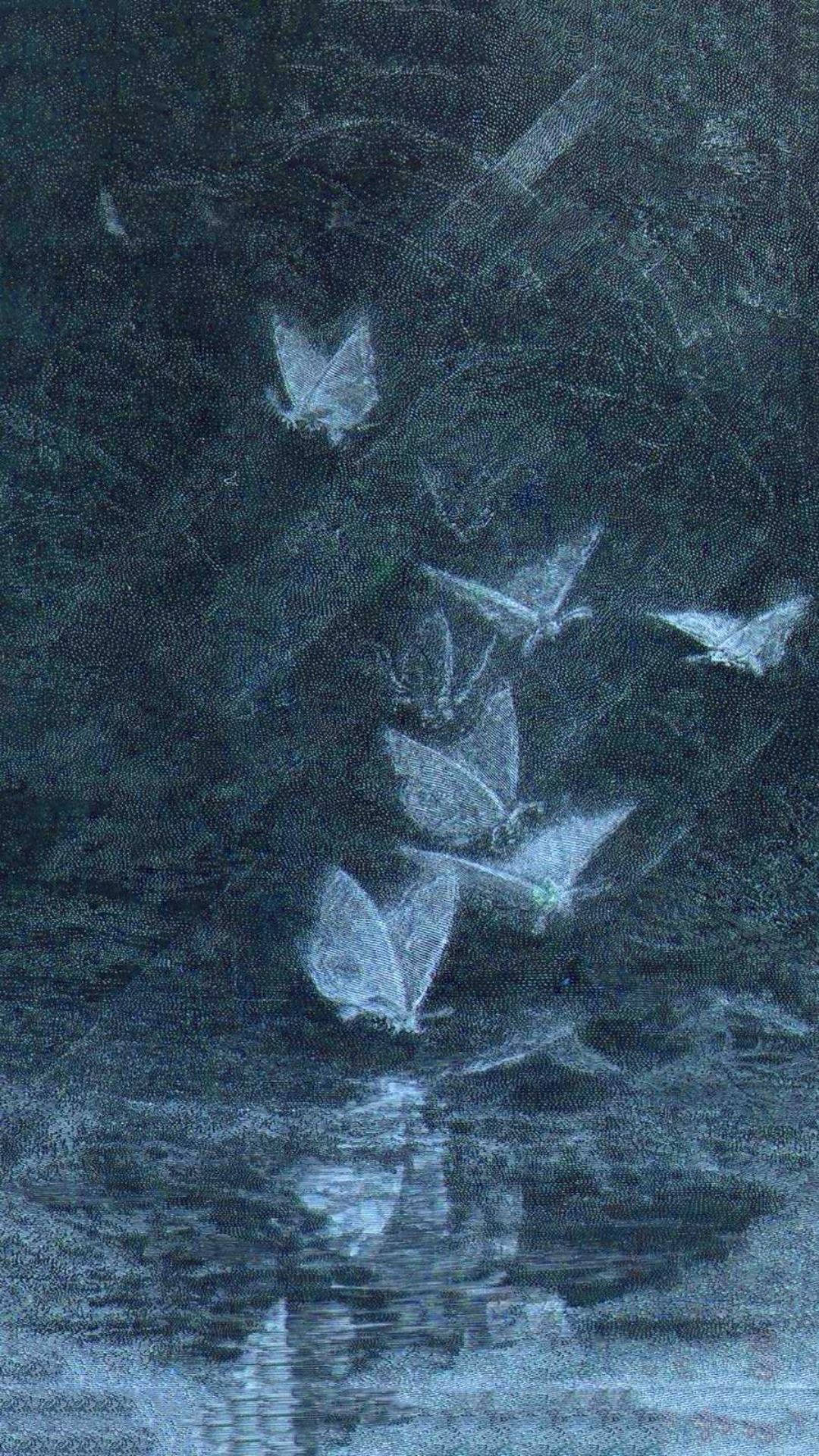 薄霧仙子美學 壁紙