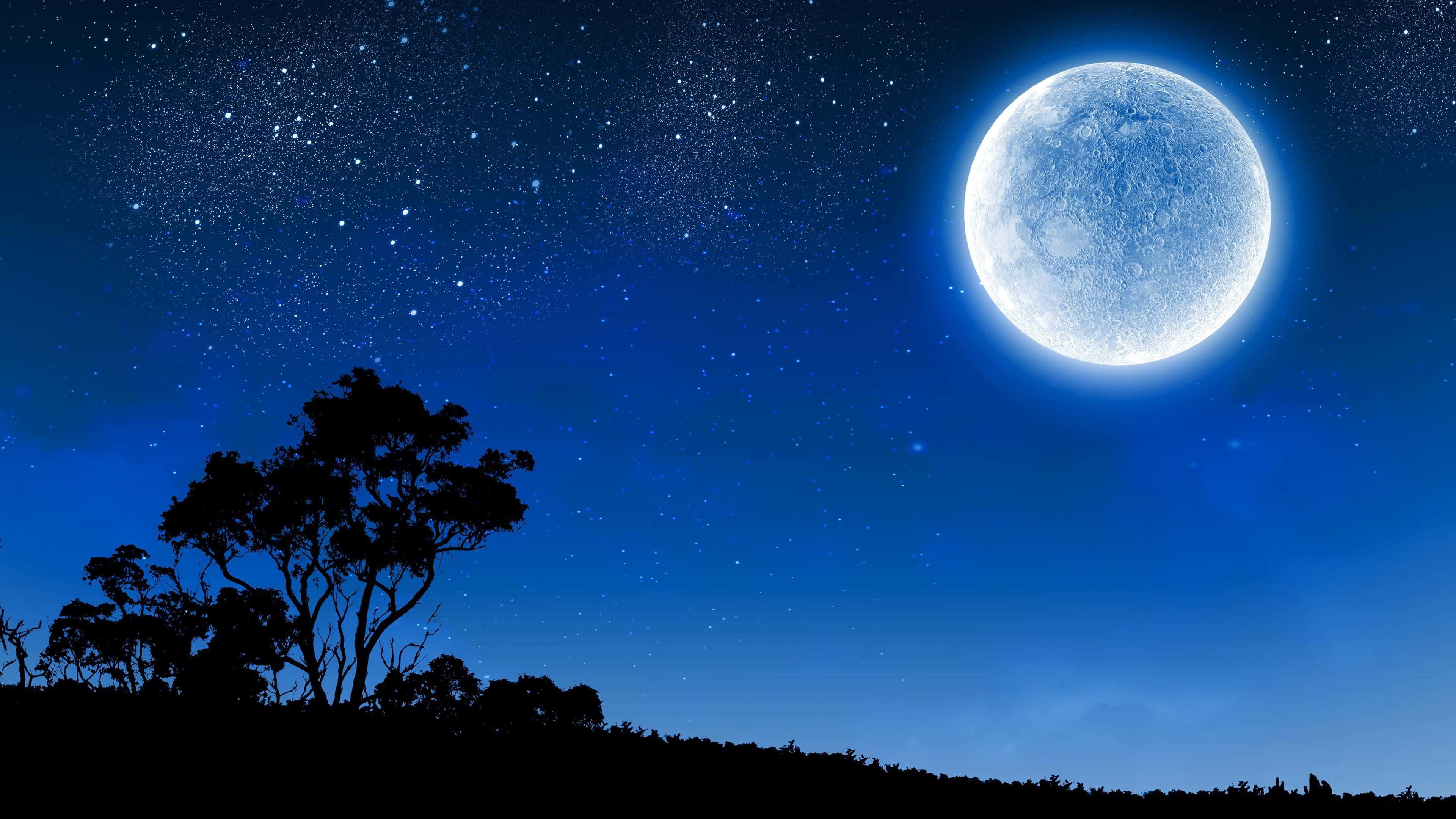 藍色星夜月色 壁紙