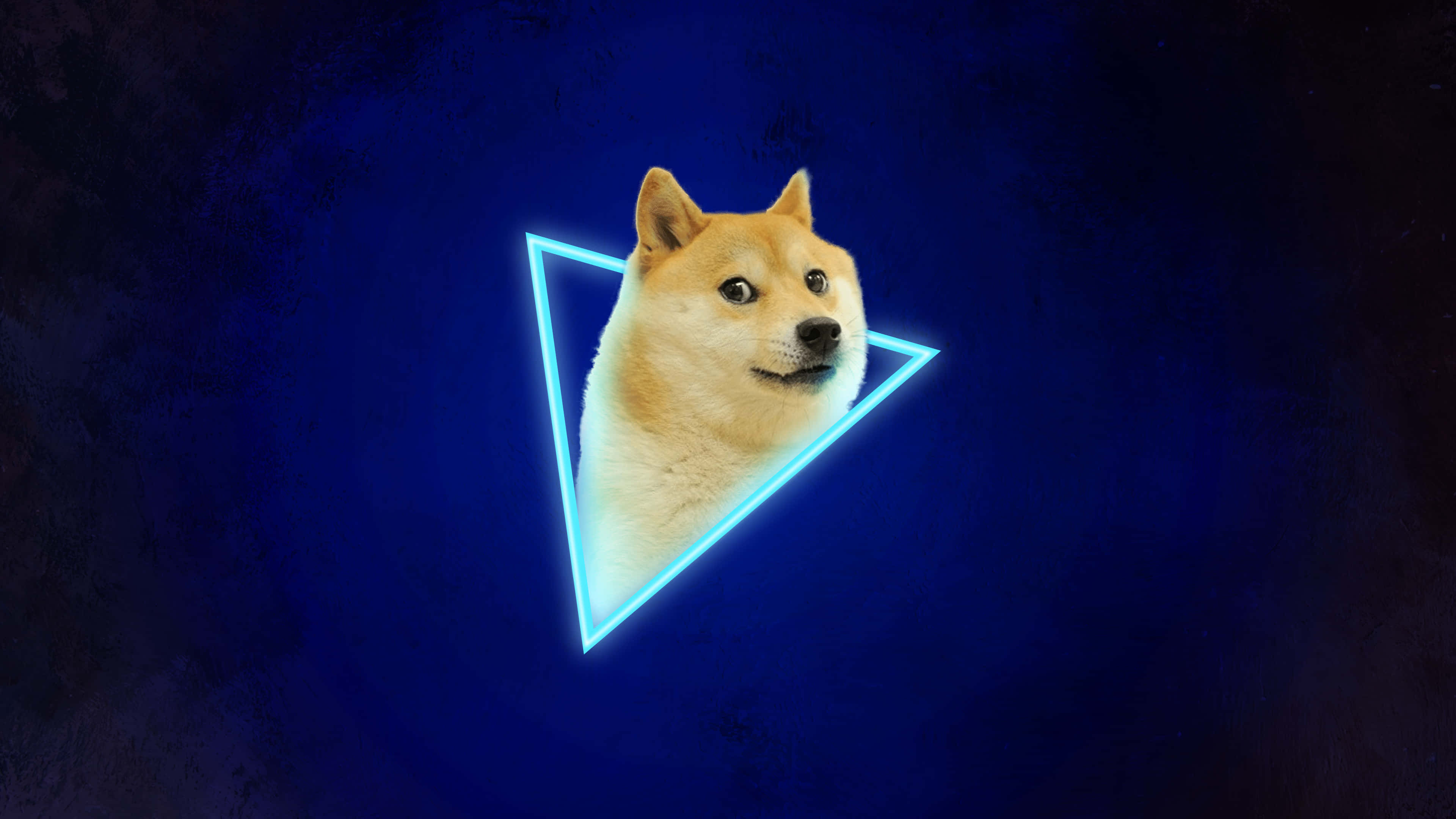 藍色柴犬三角 壁紙