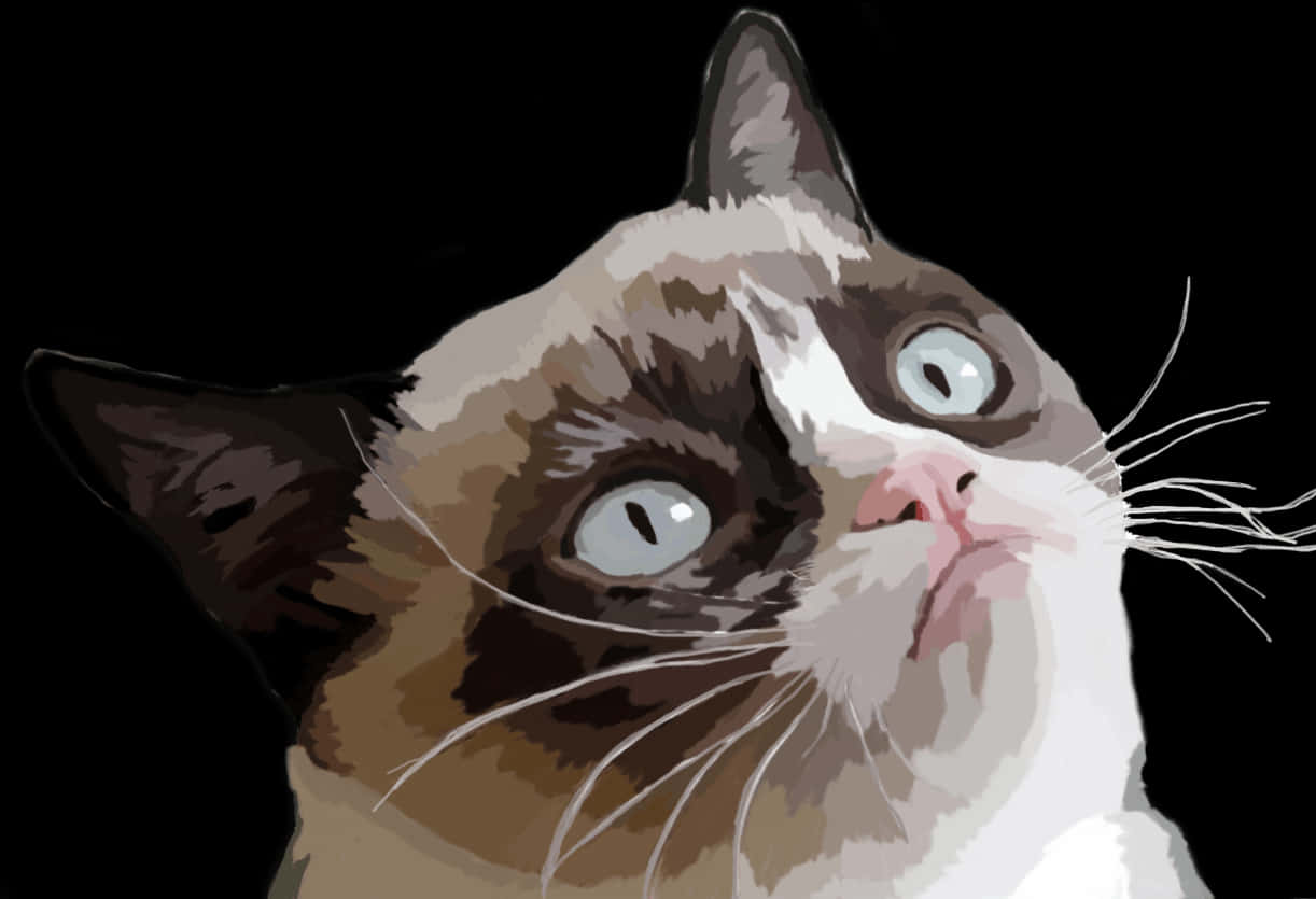 表情古怪的棕白色猫咪 壁紙