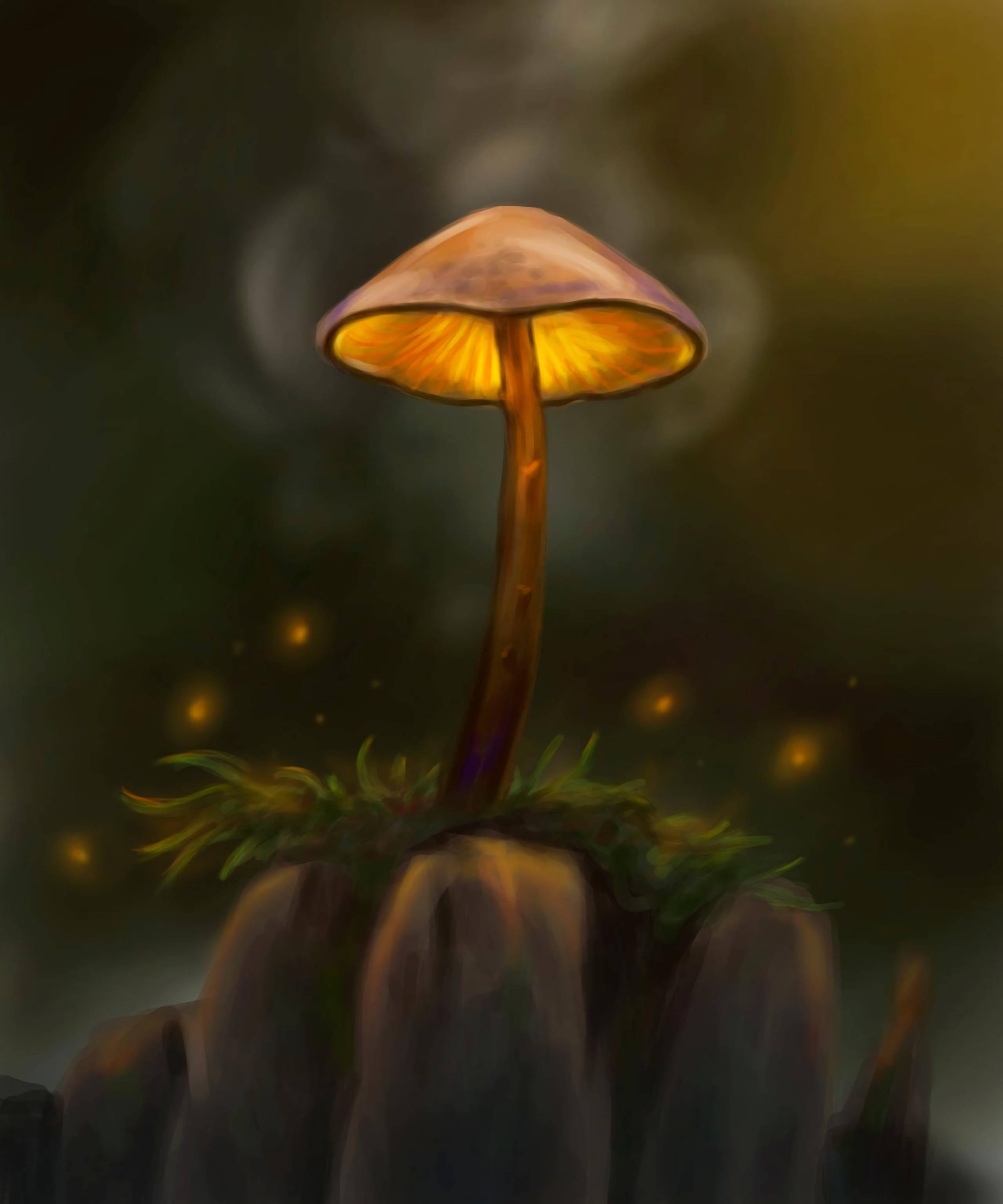 让想象力随着这些神奇蘑菇翱翔。 壁紙