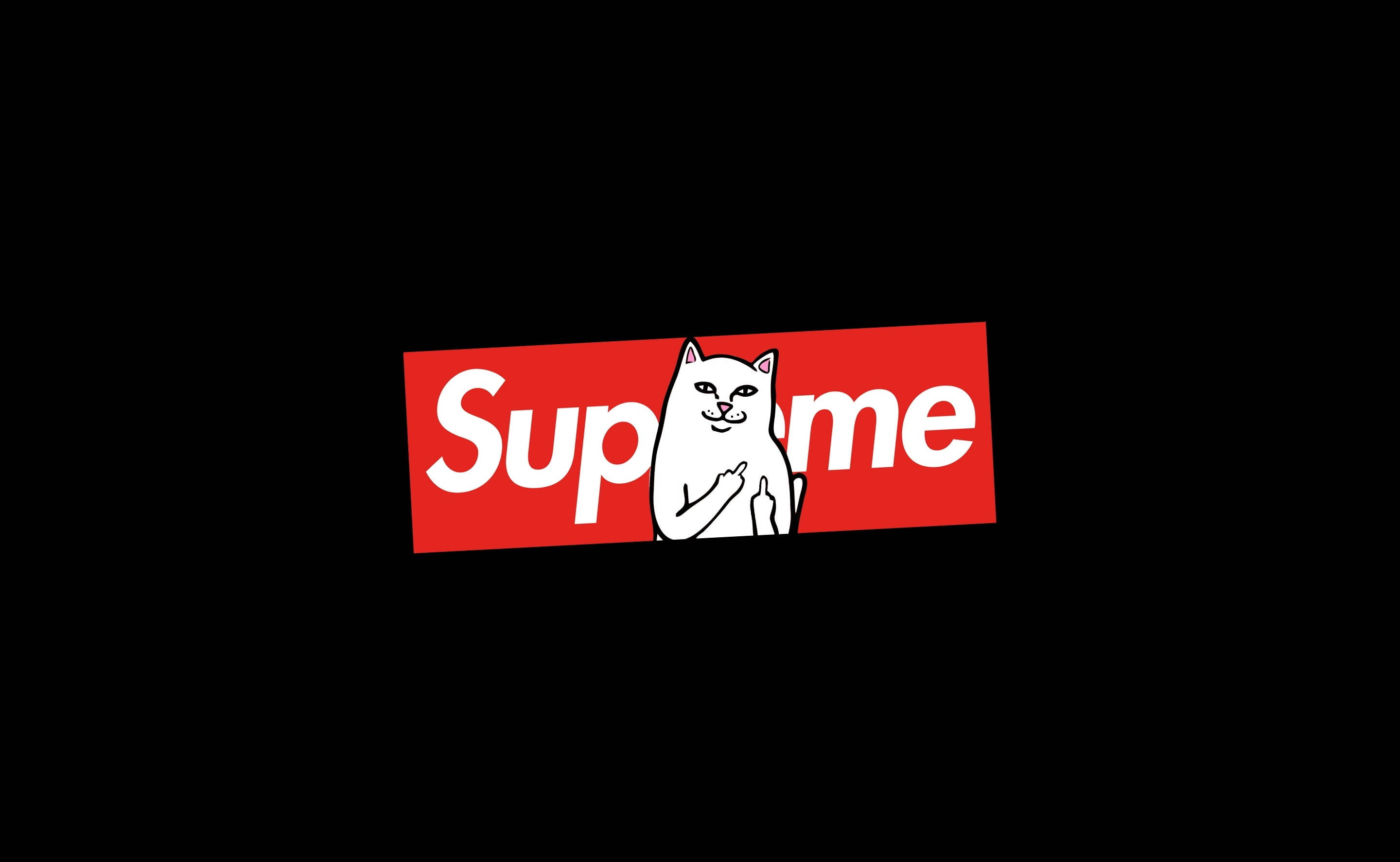 貓咪坐在Supreme筆電上 壁紙