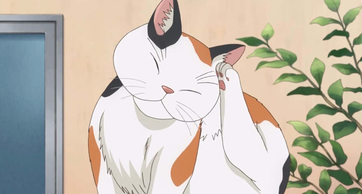 超萌的眼镜动漫猫！ 壁紙