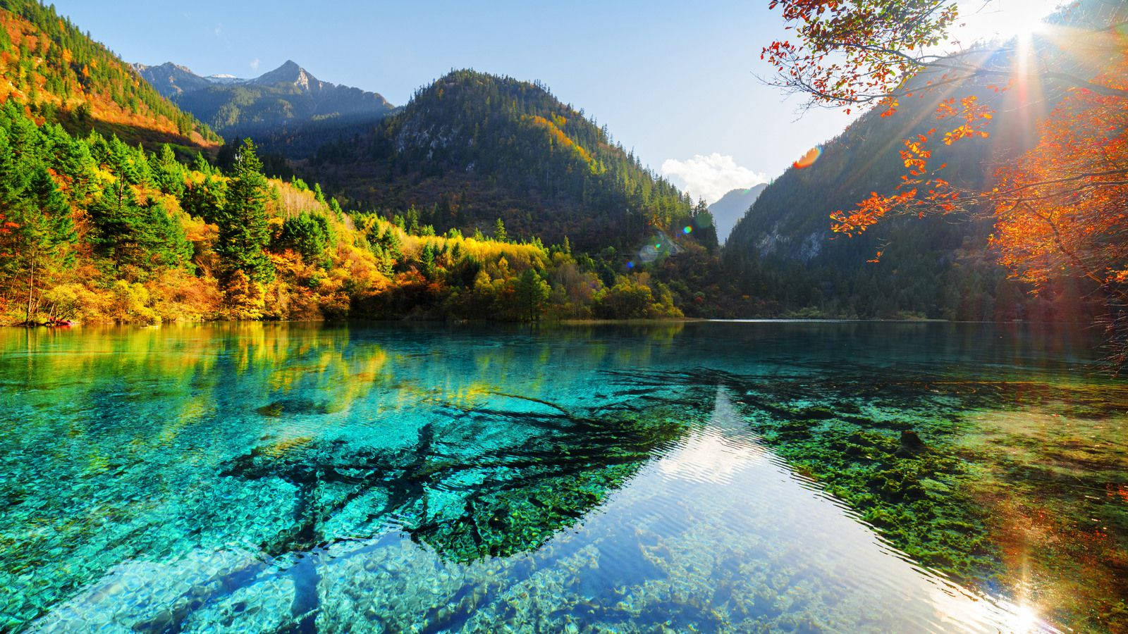 这片 stunning 湖景展现了清澈的水和如画的风景 壁紙