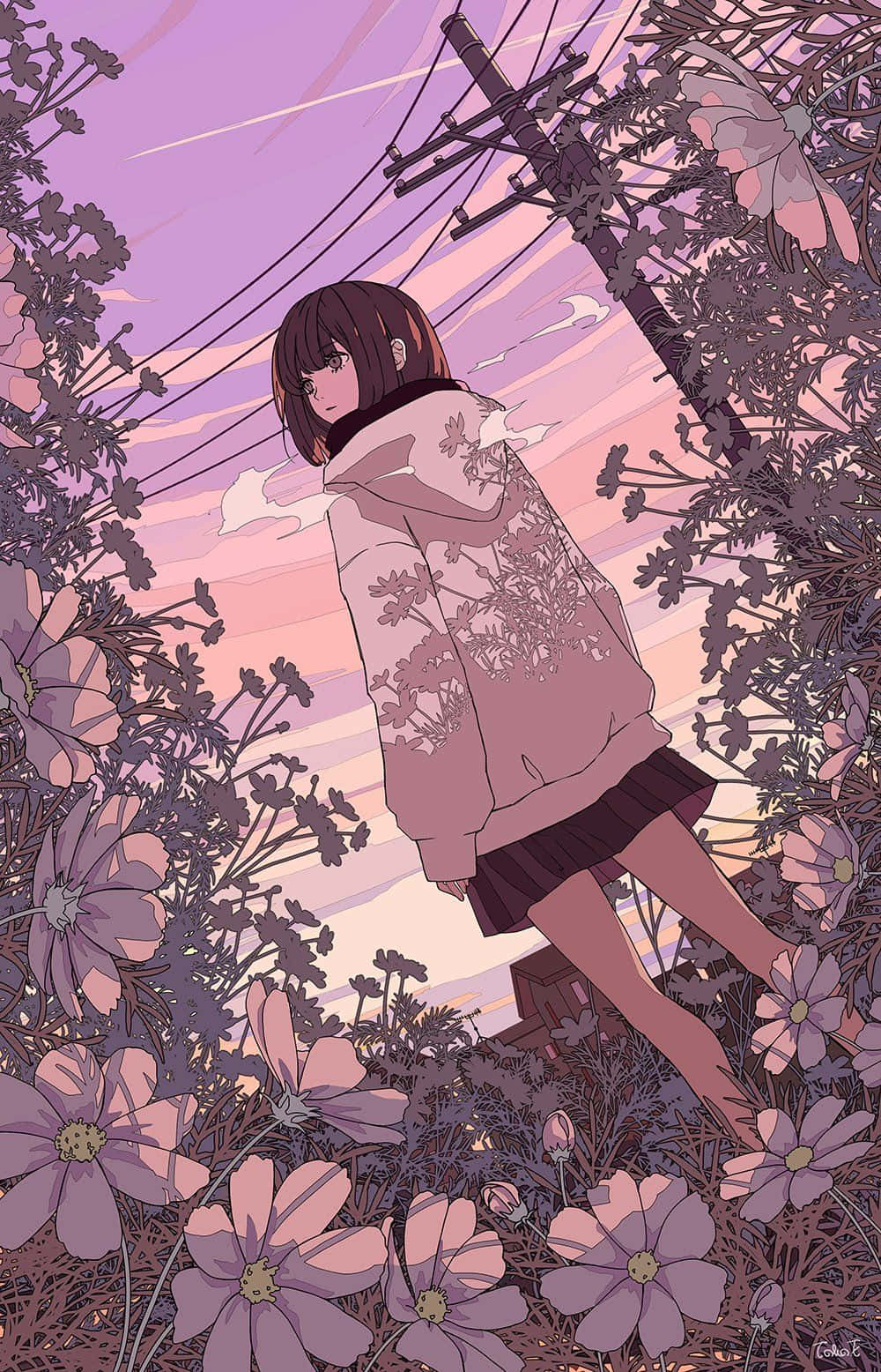 迷人动漫风景与夕阳余晖 壁紙