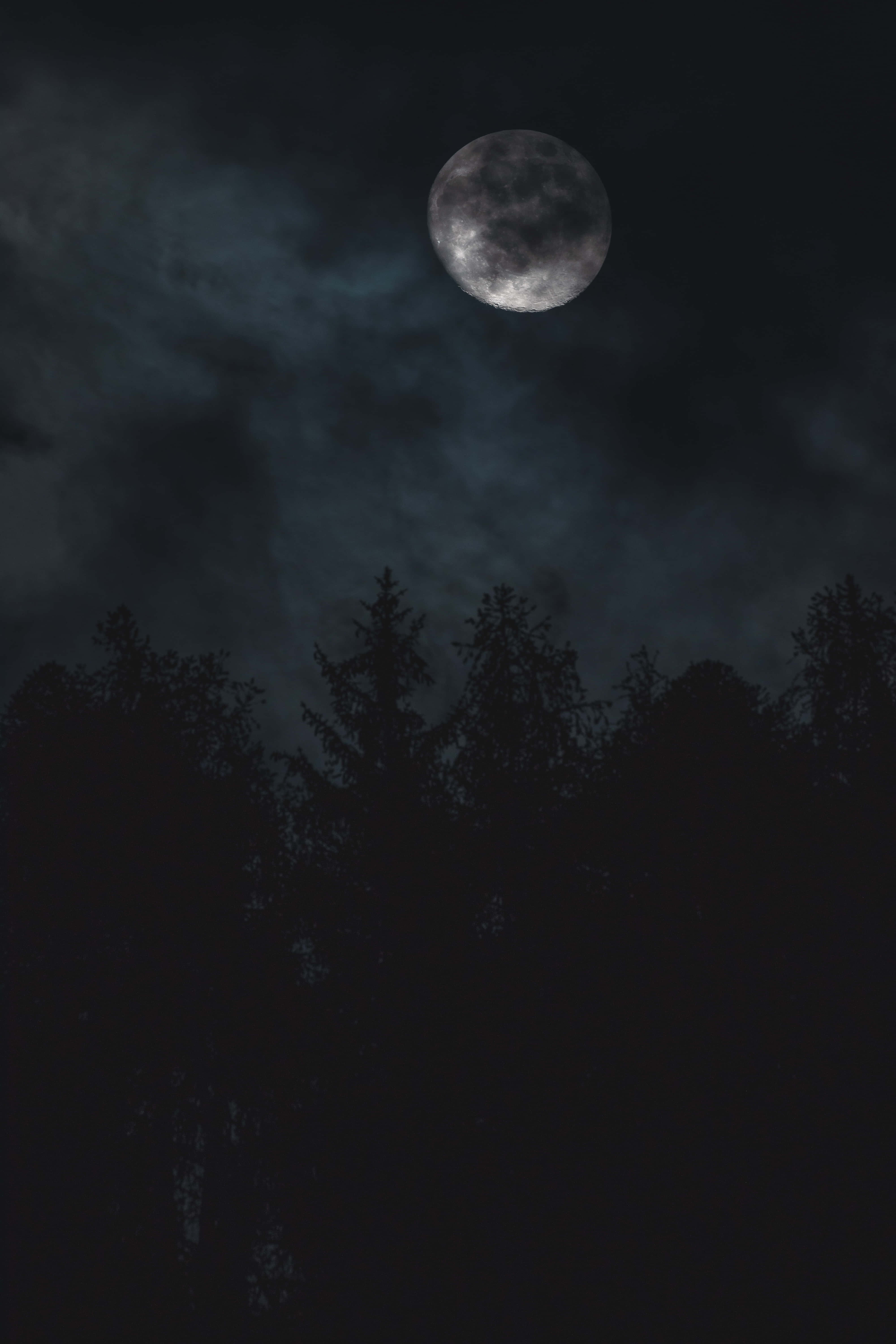 迷人午夜星空 壁紙