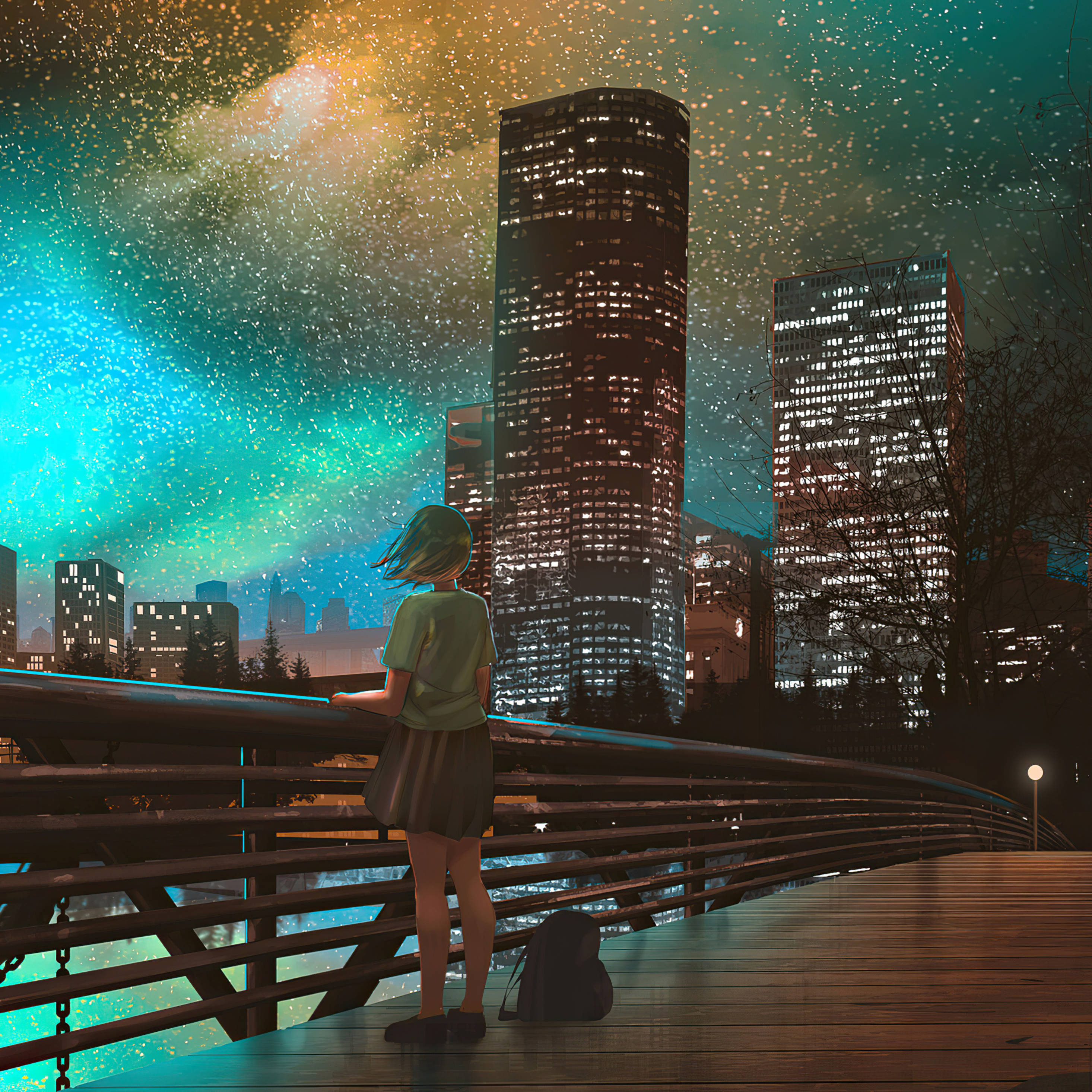 迷人星空動漫之夜，繁華城市盡收眼底 壁紙