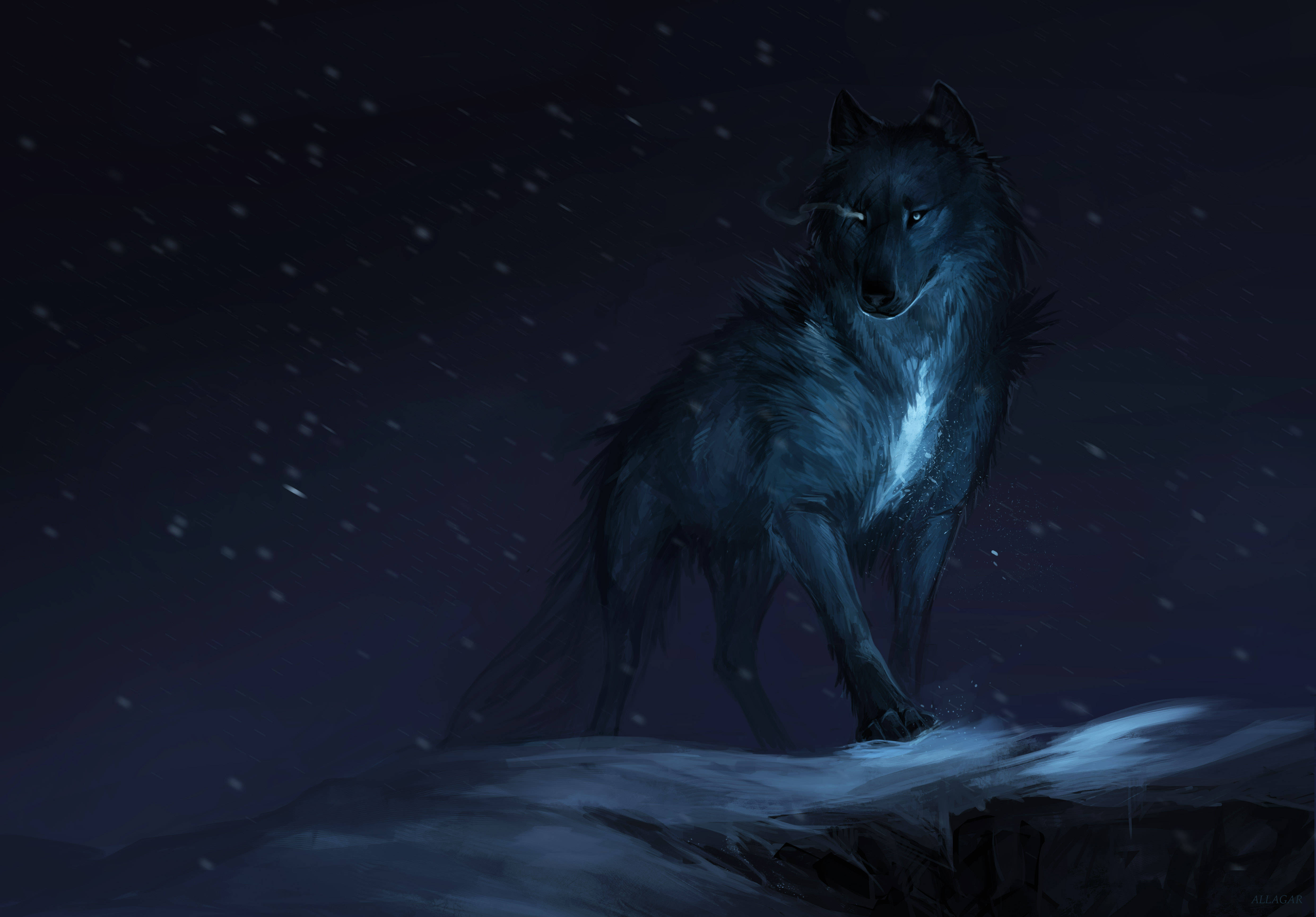 迷人暗狐 4K 壁紙