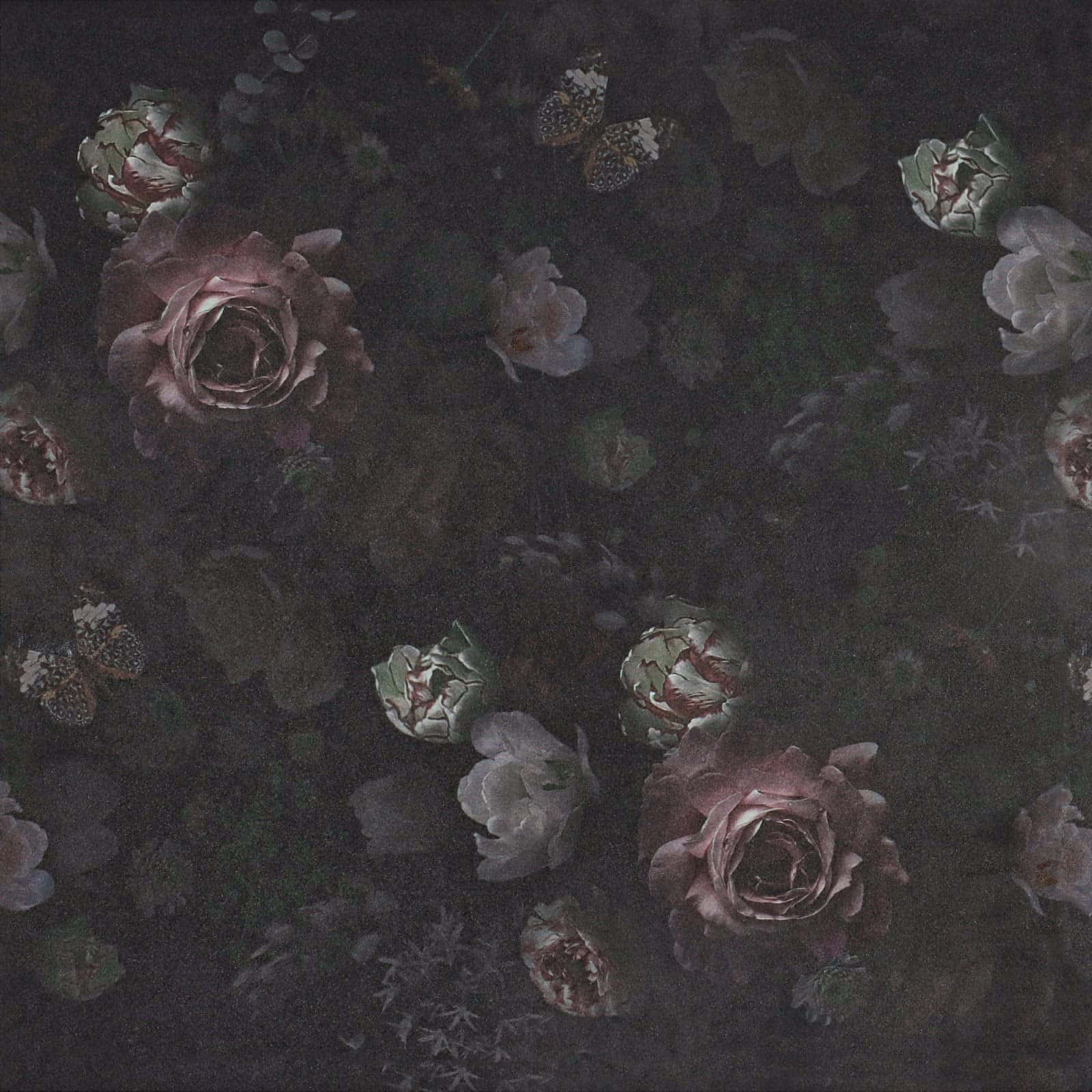 迷人暗色花卉背景 壁紙