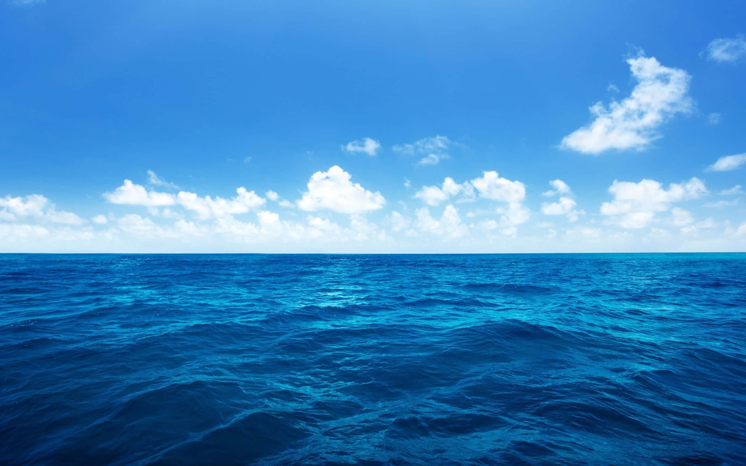 迷人海洋天空水主題背景 壁紙