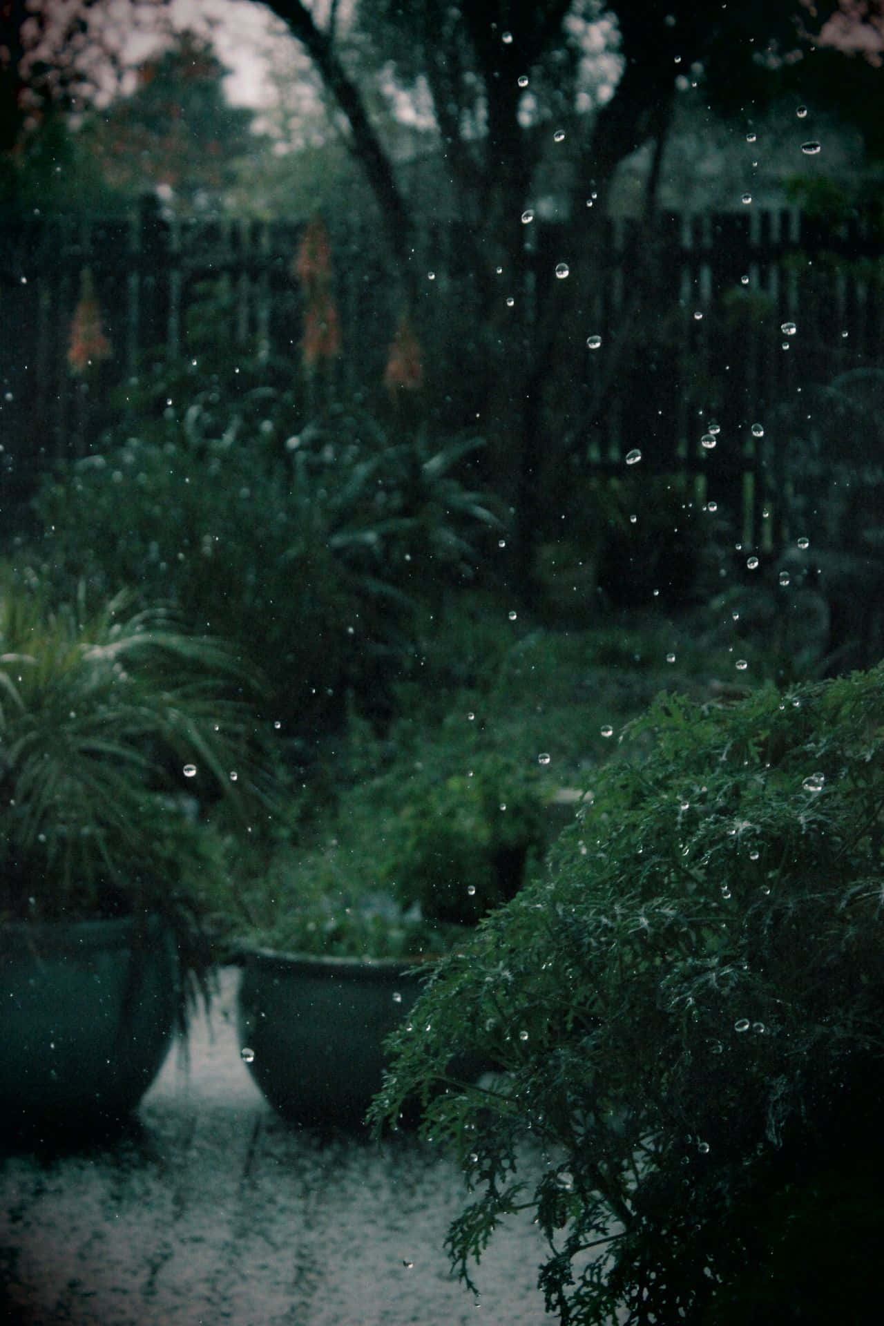 迷人的深绿色美学背景 壁紙