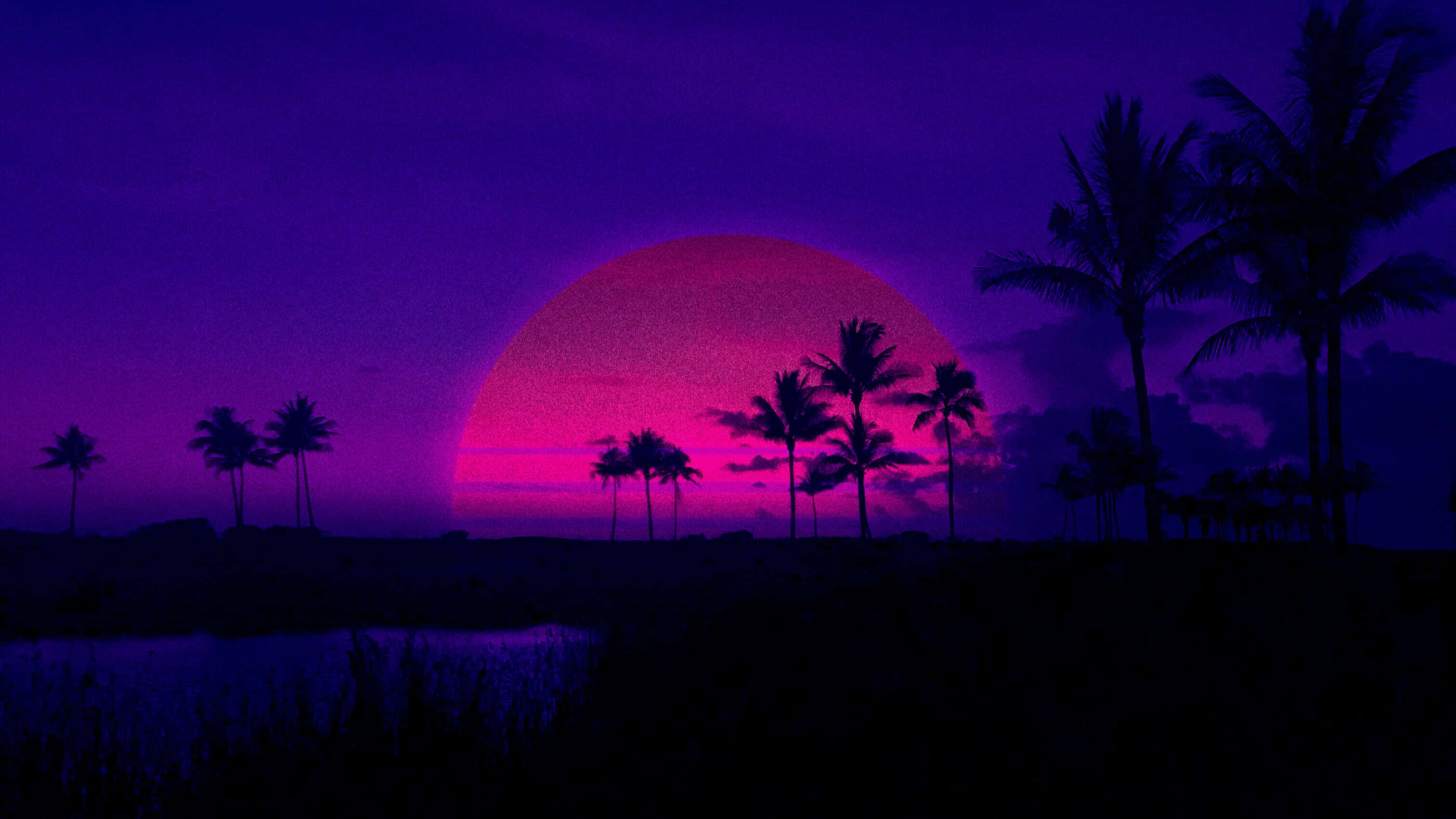 迷失在深紫色的海洋中，眼前尽是美景 壁紙