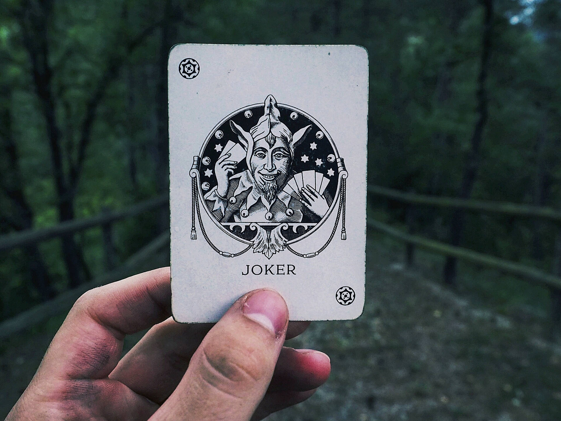 手拿小丑牌，背景是模糊的鄉間小路。