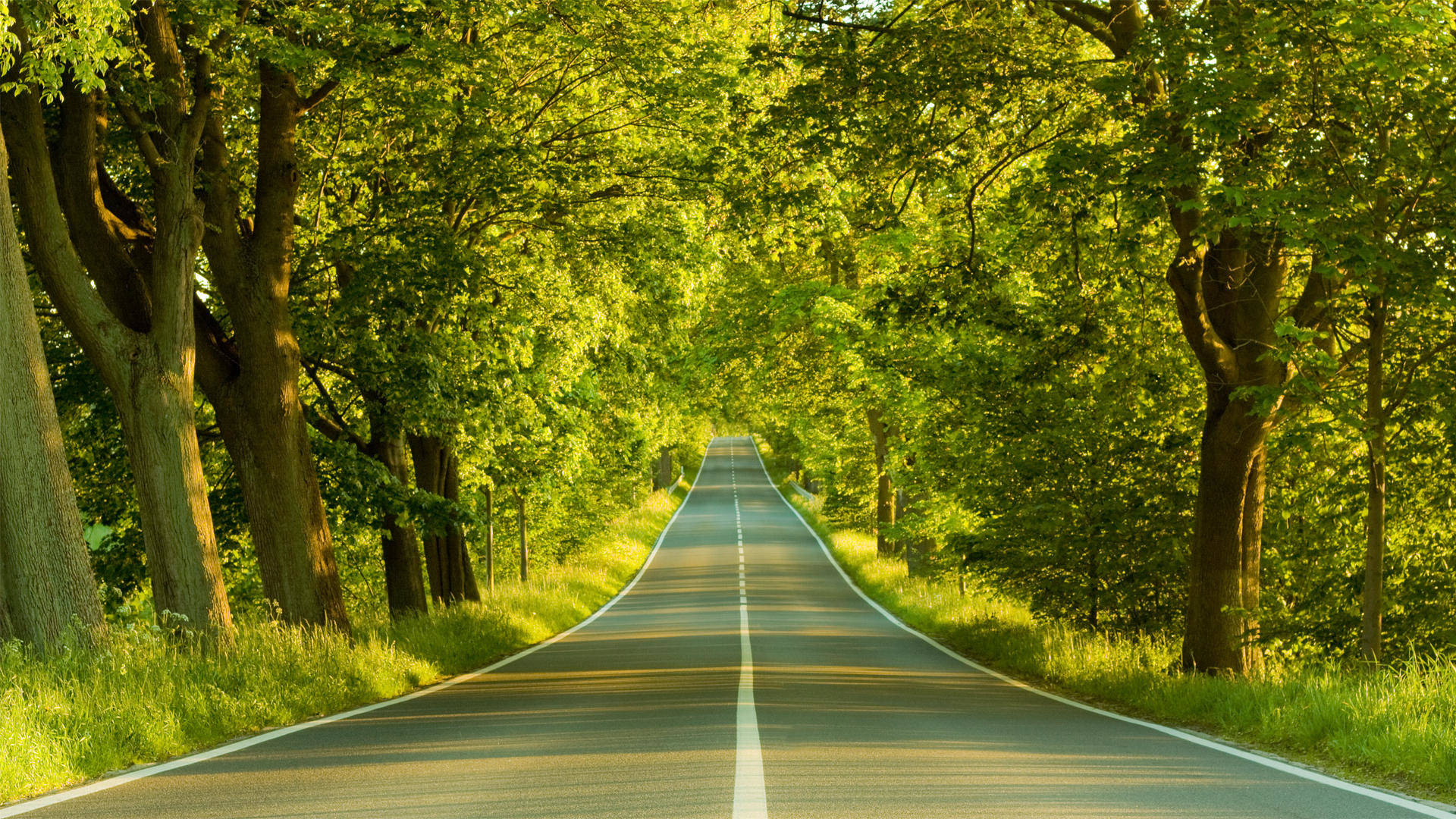 道路3D自然景觀 壁紙