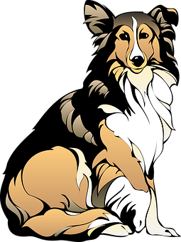 邊境牧羊犬動畫插圖 壁紙