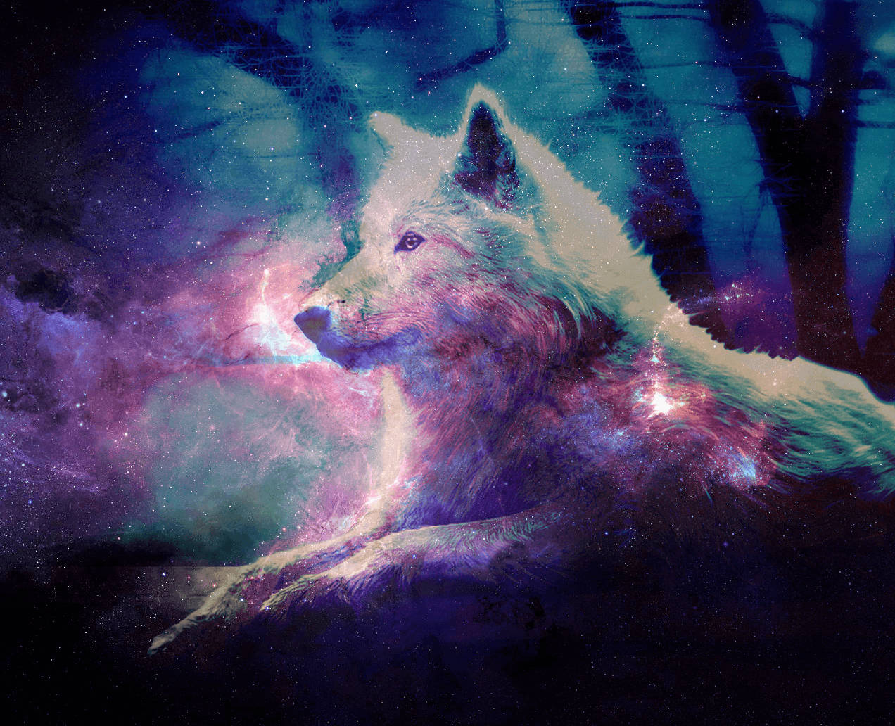 酷炫星銀河濾鏡下的狼 壁紙