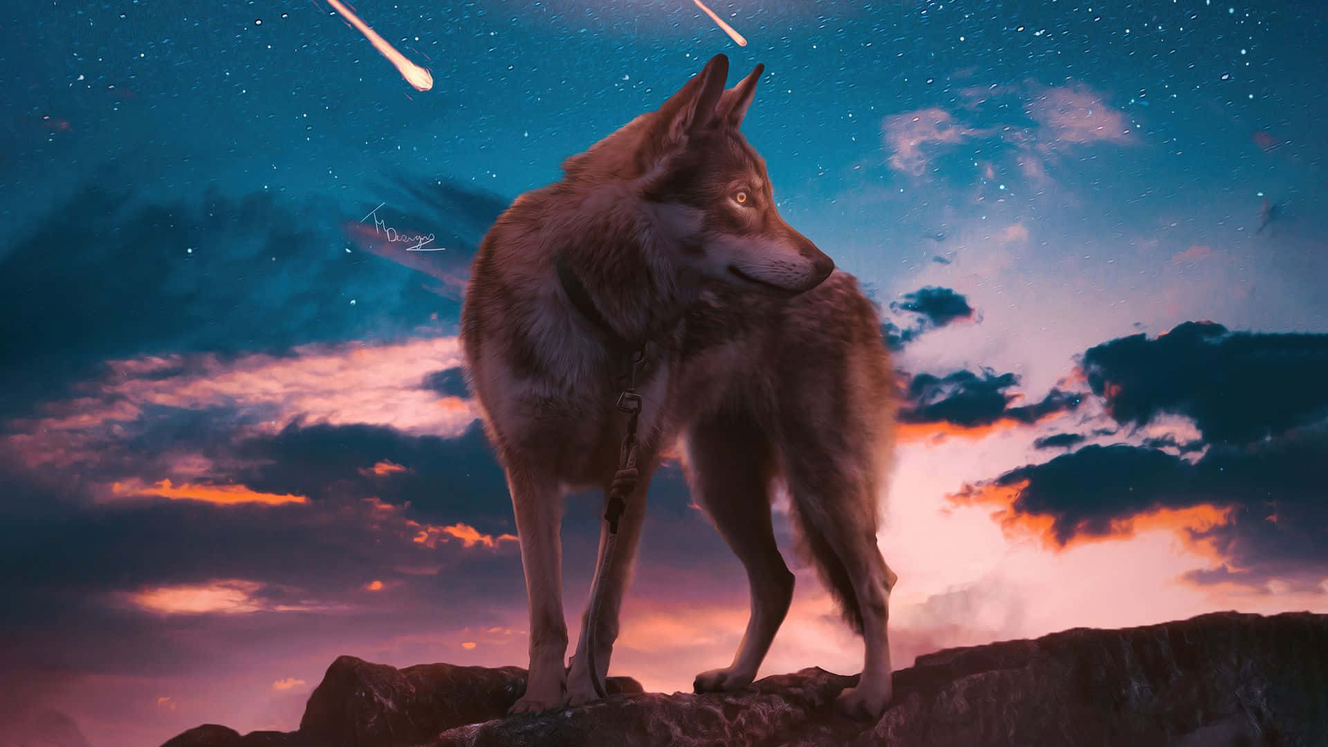 酷炫狼美學流星 壁紙