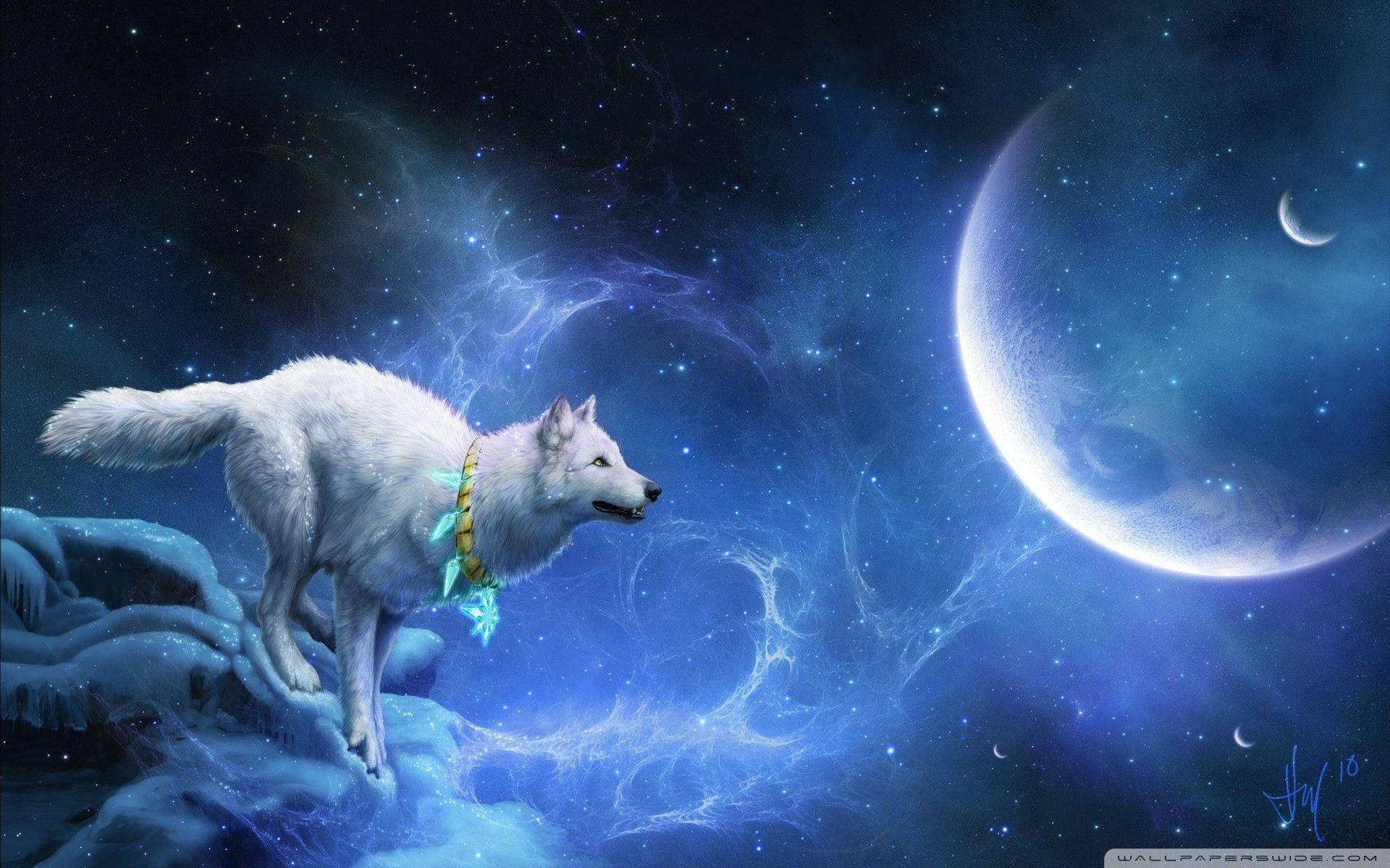 酷狼星球 壁紙