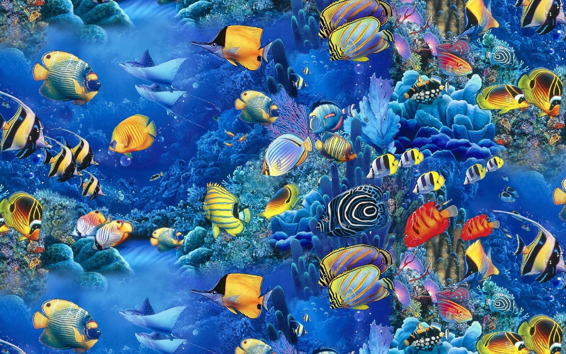 酷魚在藍珊瑚礁 壁紙