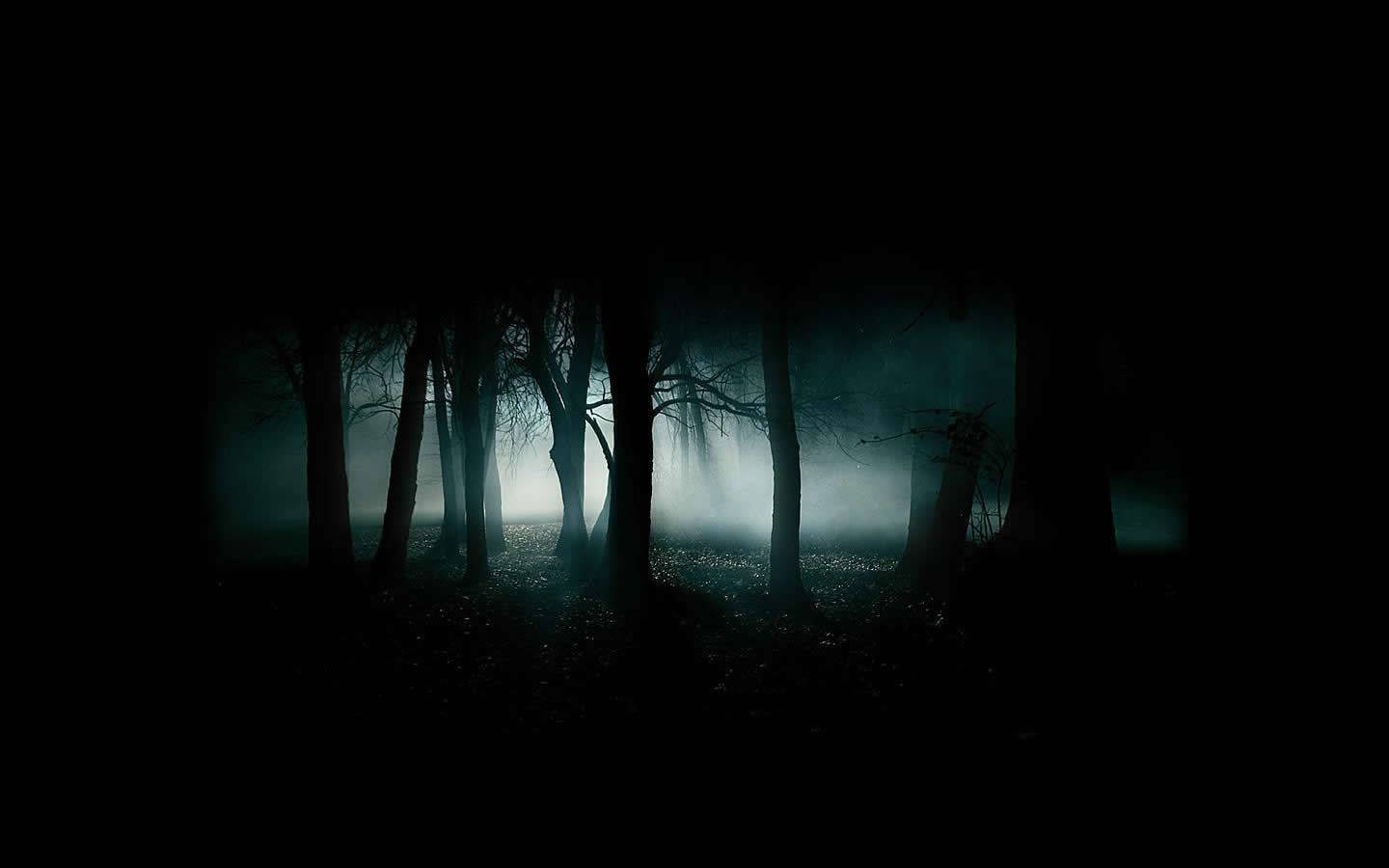酷黑樹影剪影 壁紙