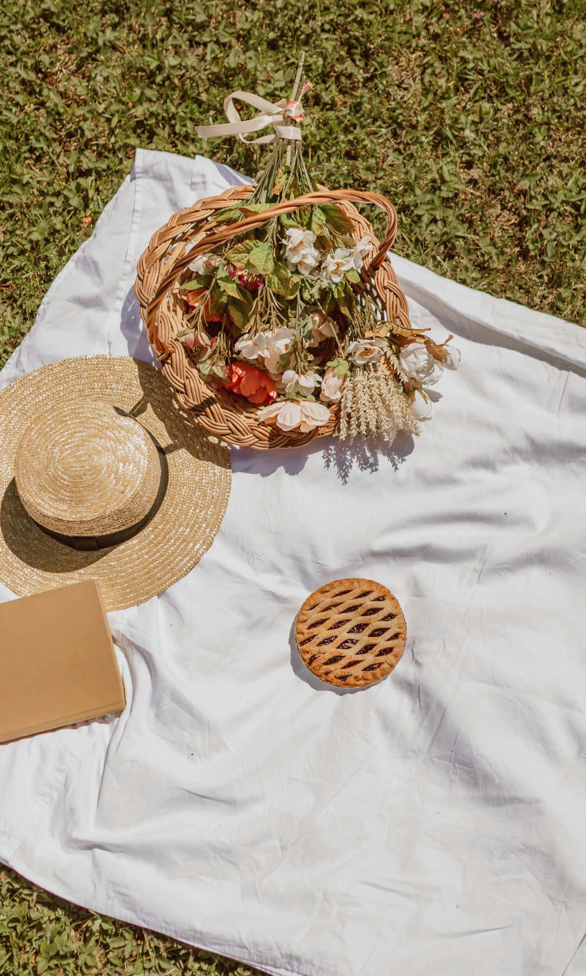 野餐籃，附有帽子、籃子和一本書 壁紙