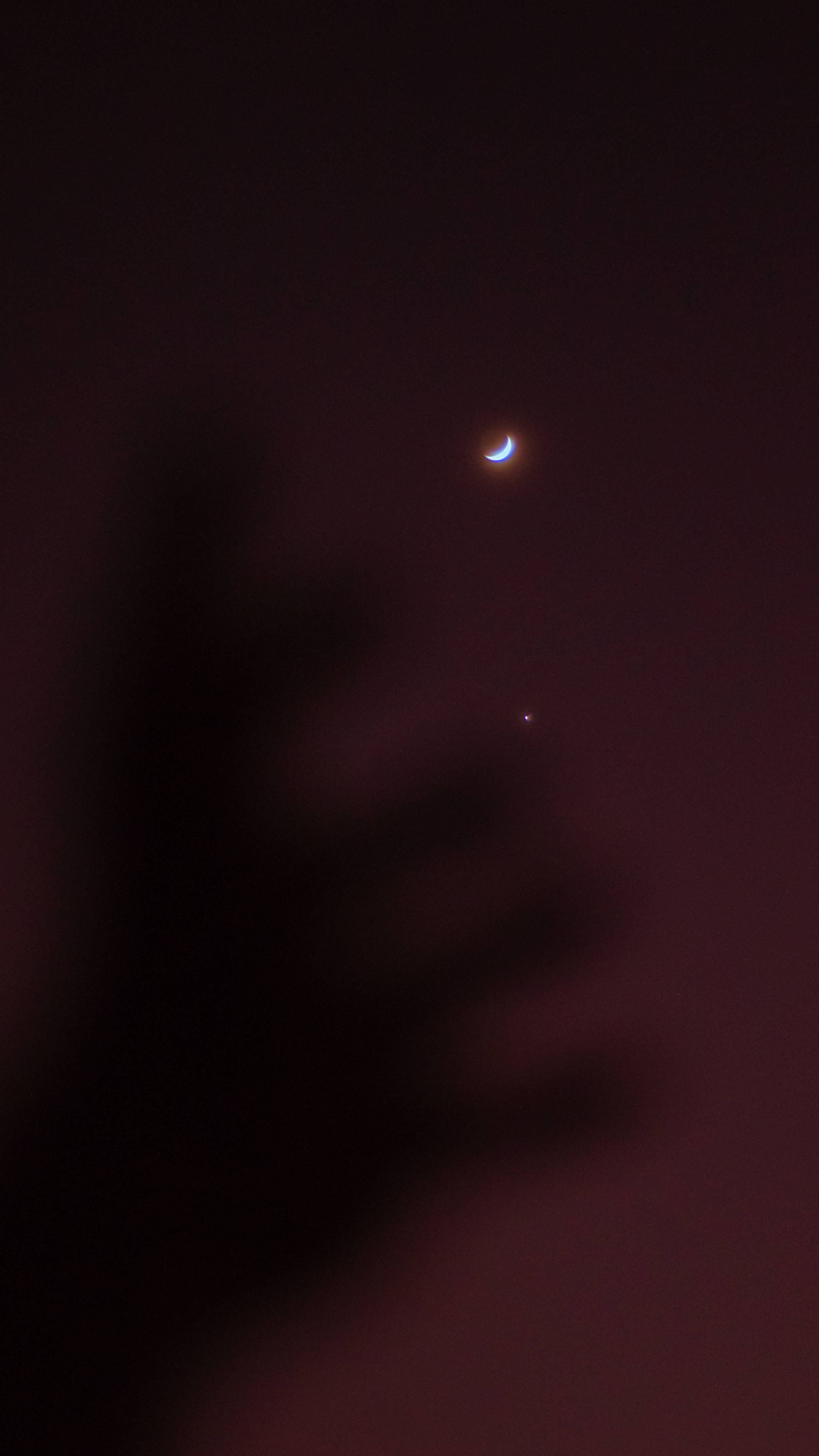 金星與美學之月 壁紙