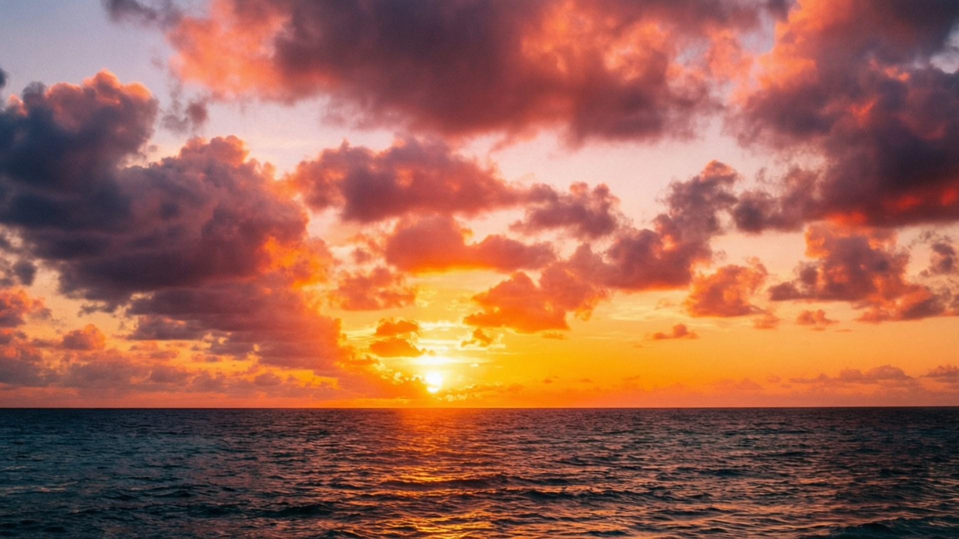 金色夕陽 壁紙