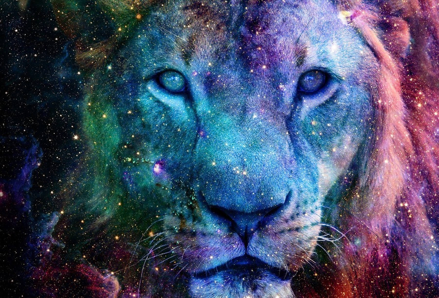 銀河獅子肖像 壁紙