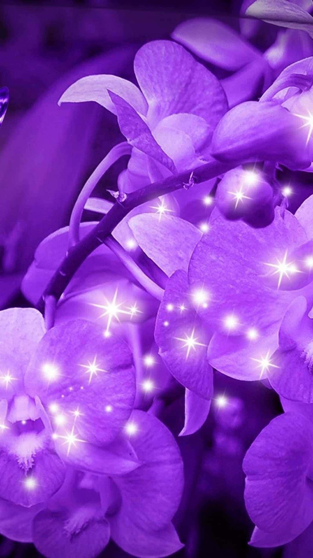 閃亮花瓣紫色花朵背景 壁紙