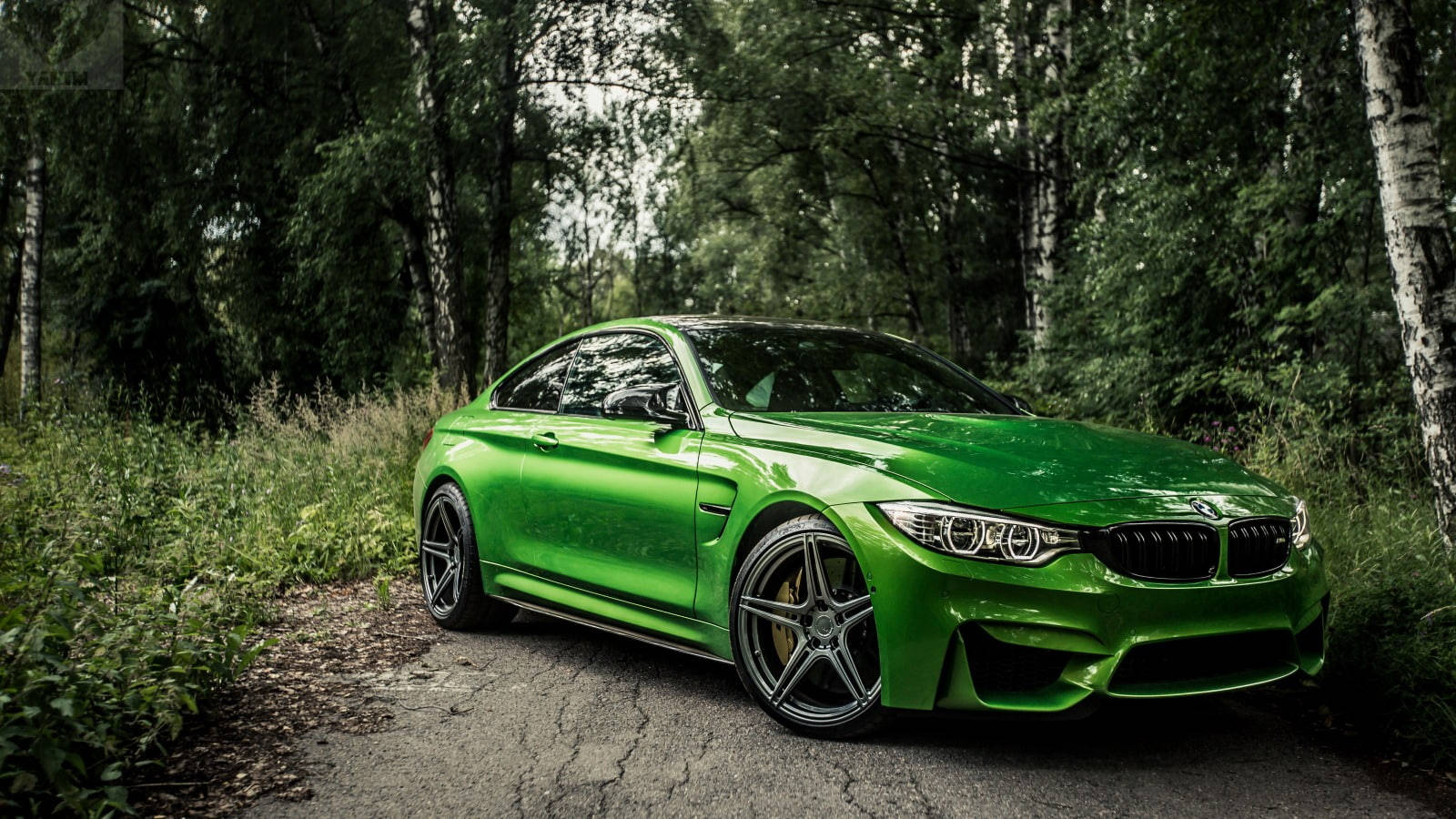 雄偉的綠色BMW M4在森林中咆哮奔馳 壁紙